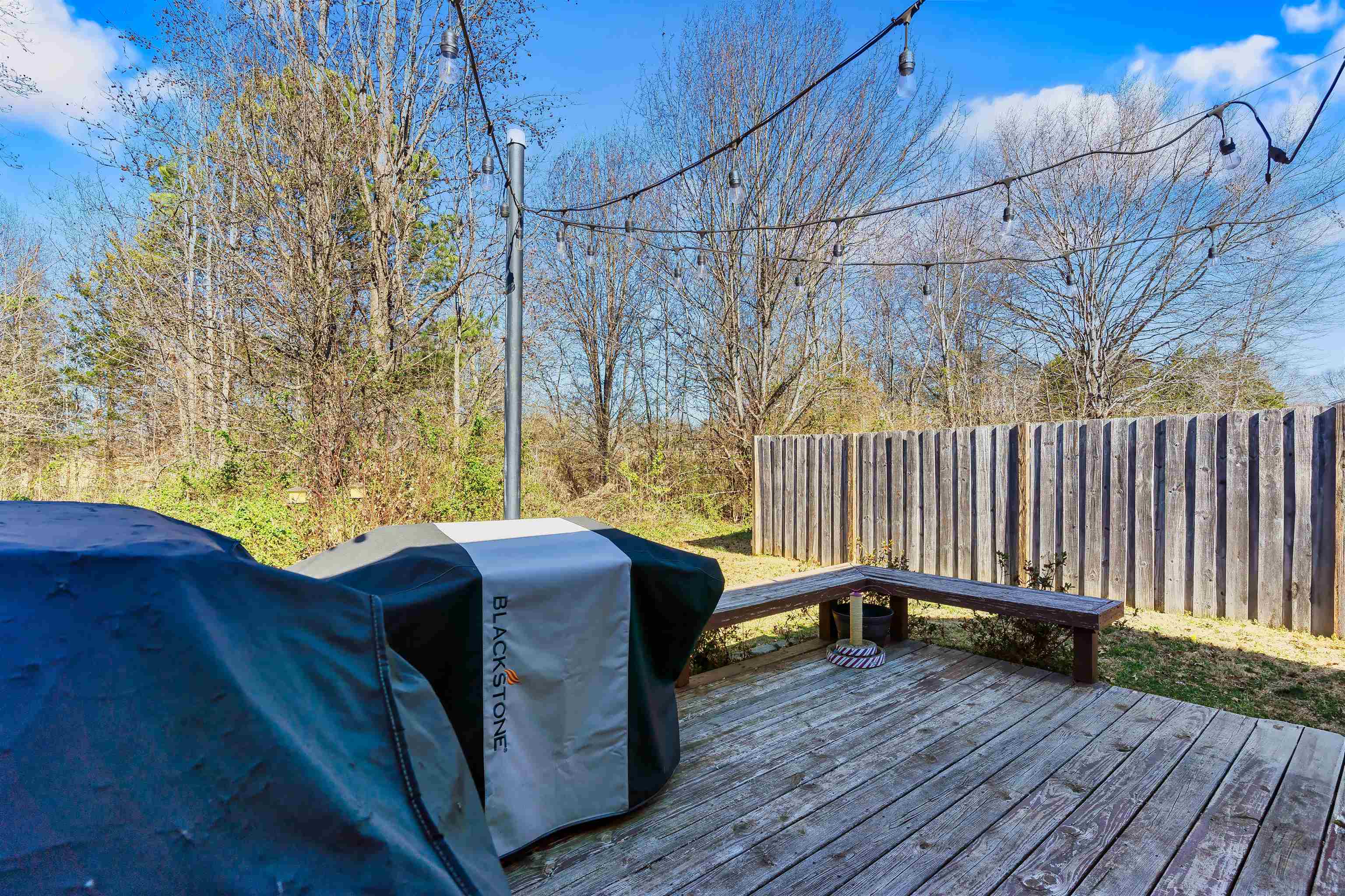 338 Bishop Hicks Court, Inman, South Carolina image 6