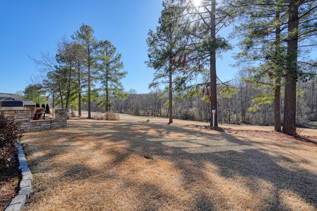 320 S Woodfin Ridge Drive, Inman, South Carolina image 41
