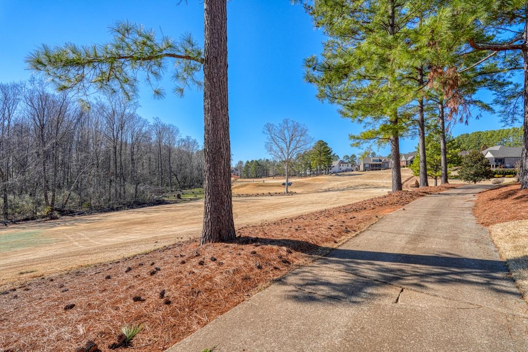 320 S Woodfin Ridge Drive, Inman, South Carolina image 40