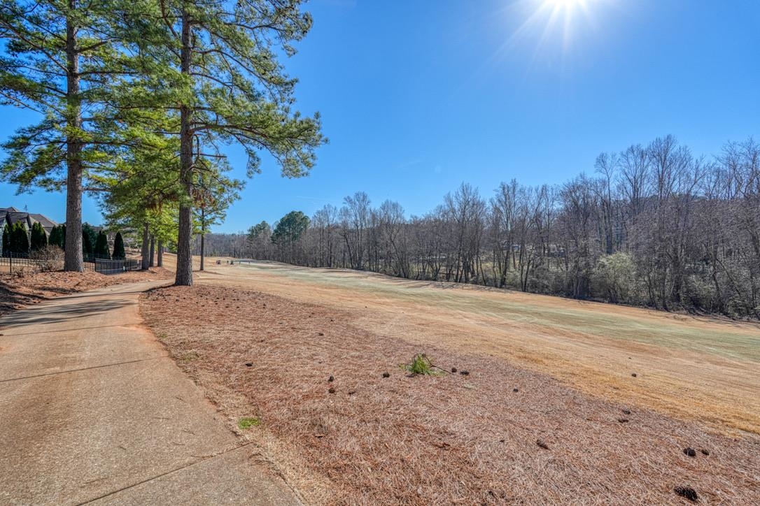 320 S Woodfin Ridge Drive, Inman, South Carolina image 39