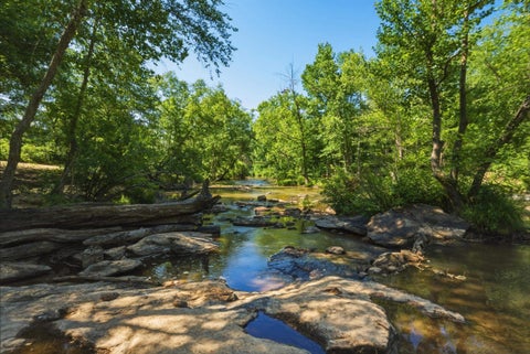Vacant Land For Sale - Bullman Street<br/> Inman, SC 29349