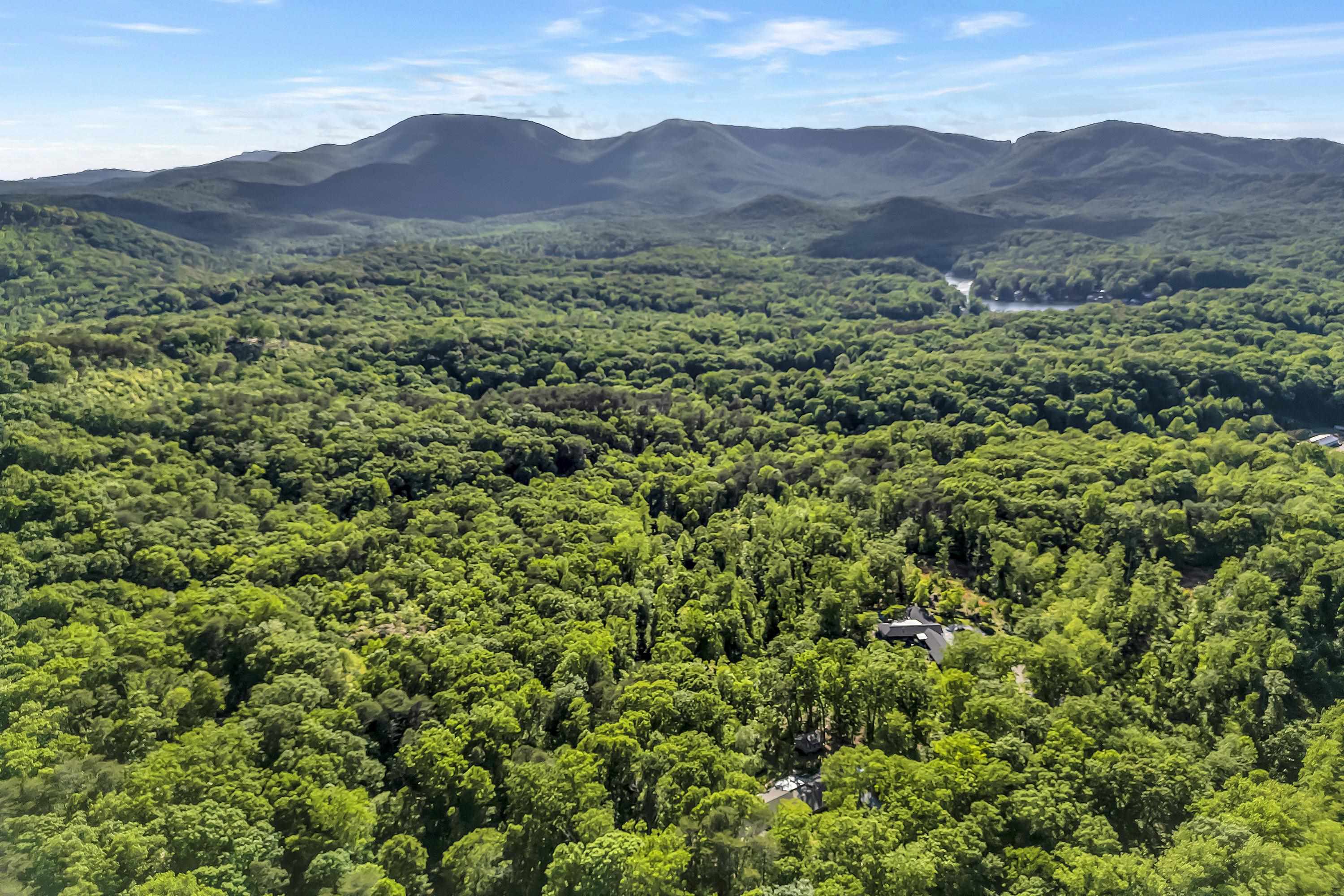 7 Hearthstone Lane, Landrum, South Carolina image 2