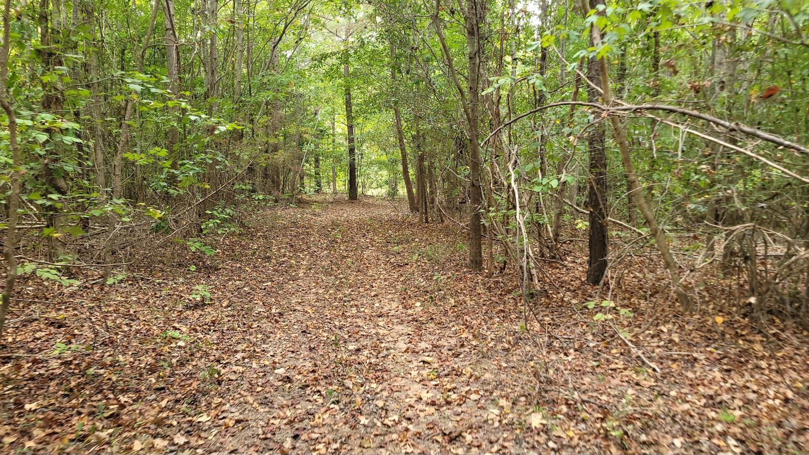 1263 Penland Rd Rd, Laurens, South Carolina image 36