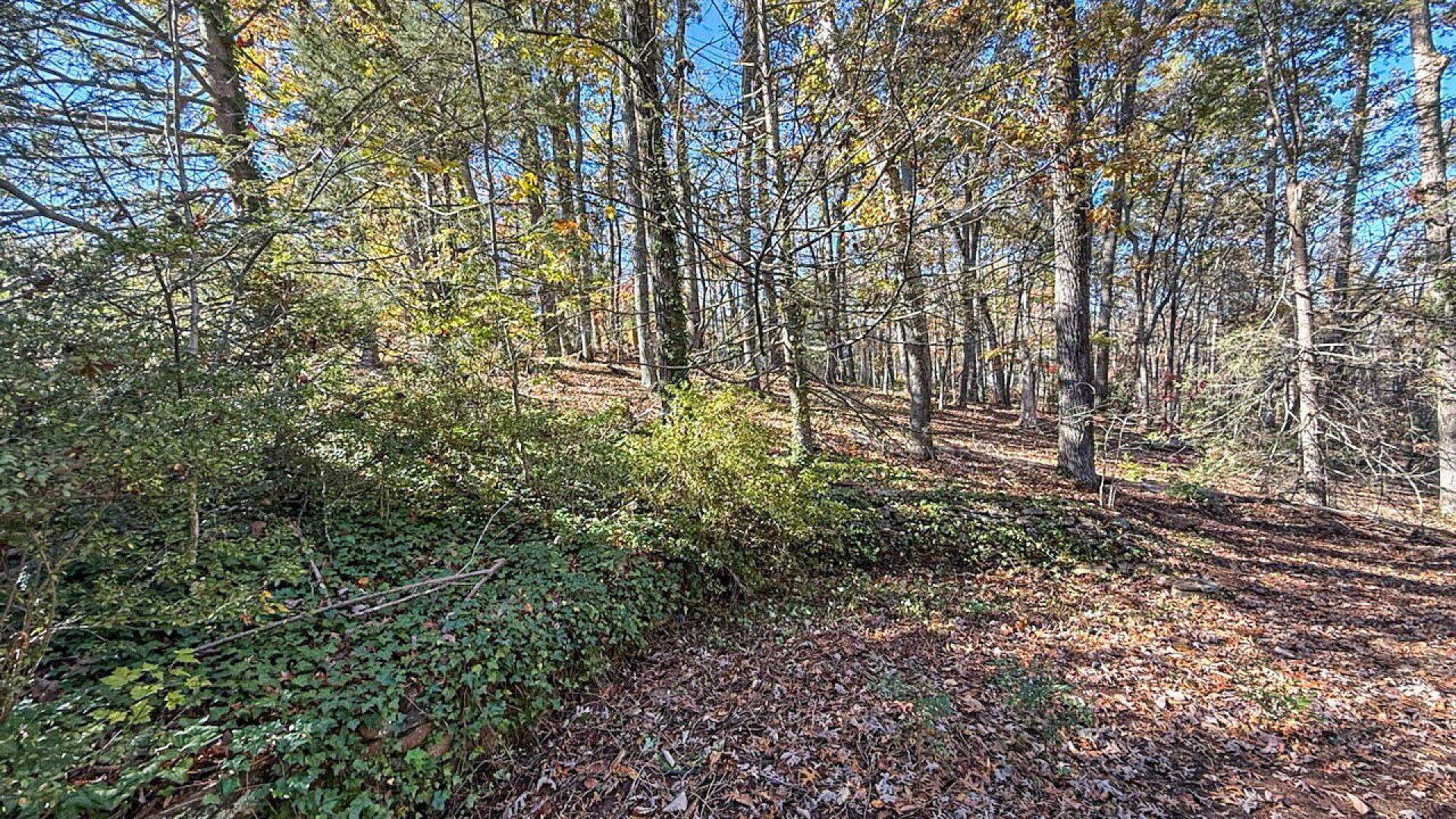 522 Jervey Road, Landrum, South Carolina image 35