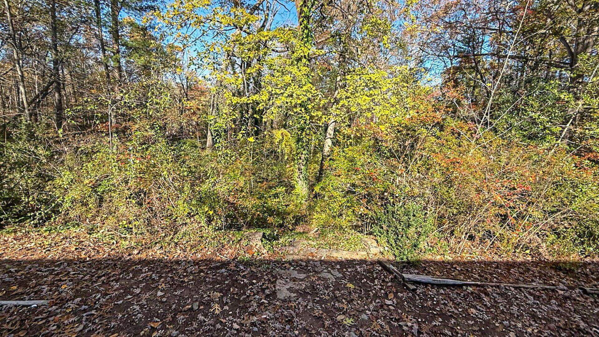 522 Jervey Road, Landrum, South Carolina image 30