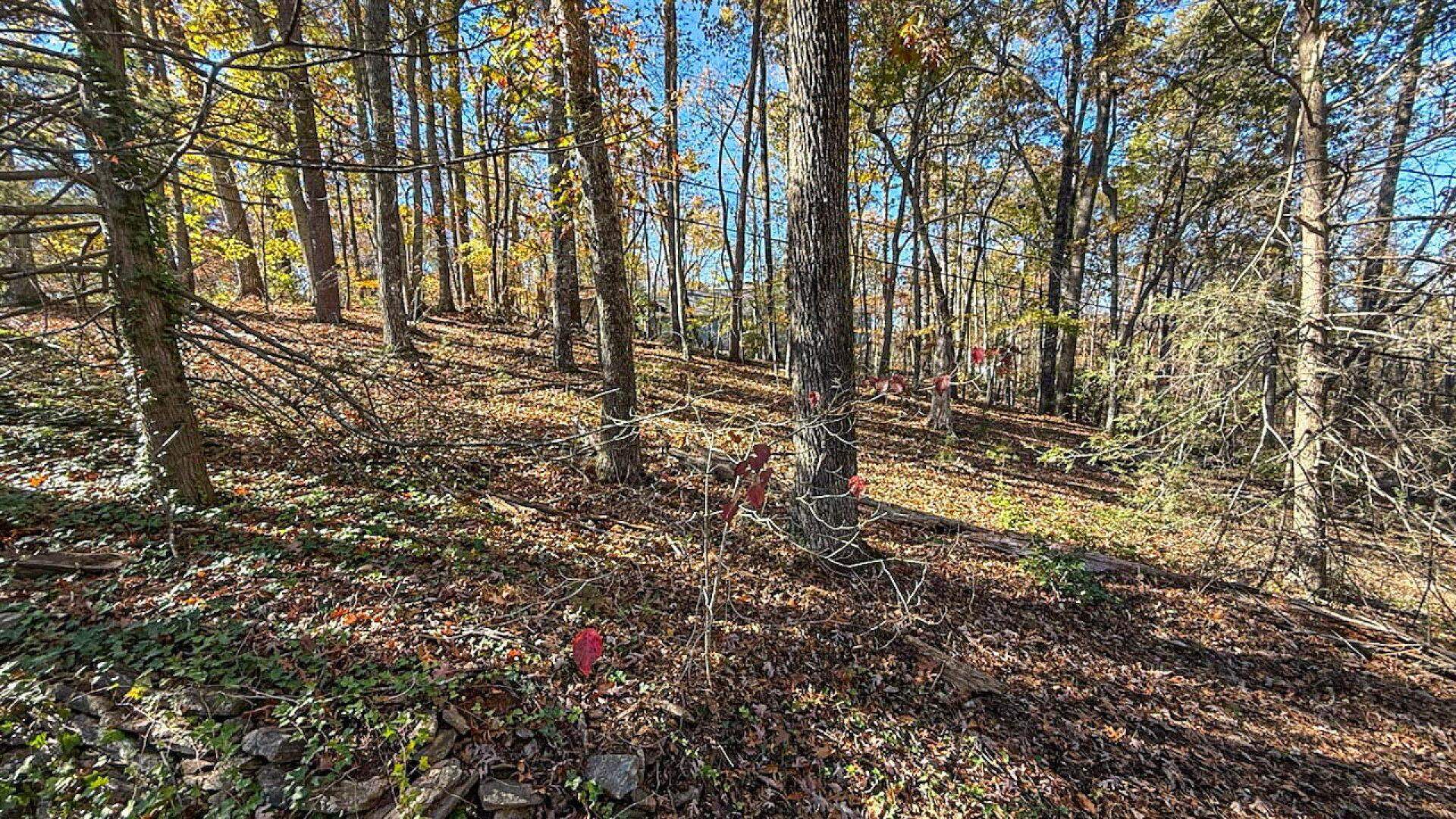 522 Jervey Road, Landrum, South Carolina image 31