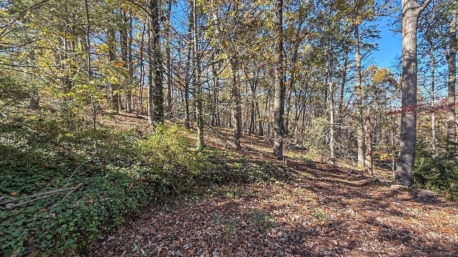 522 Jervey Road, Landrum, South Carolina image 32