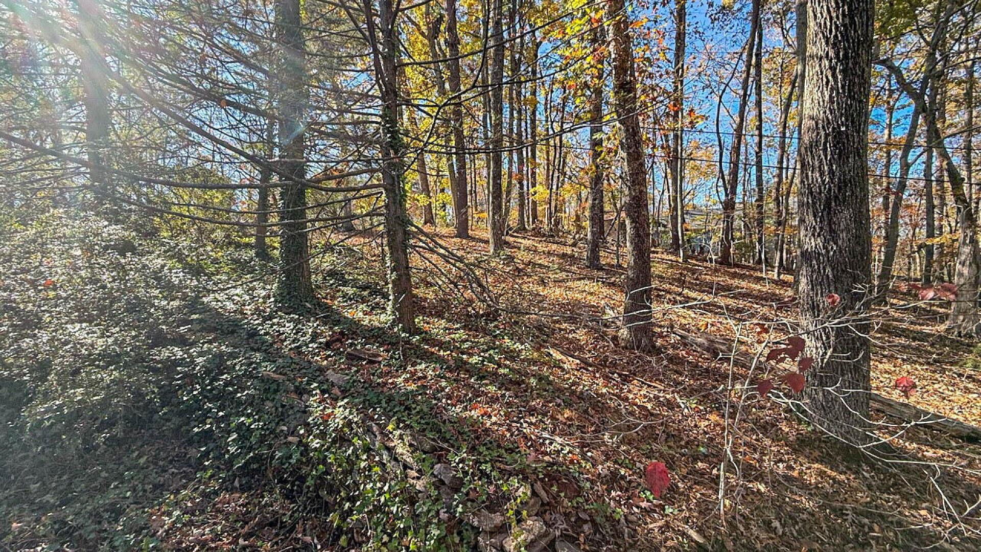 522 Jervey Road, Landrum, South Carolina image 34