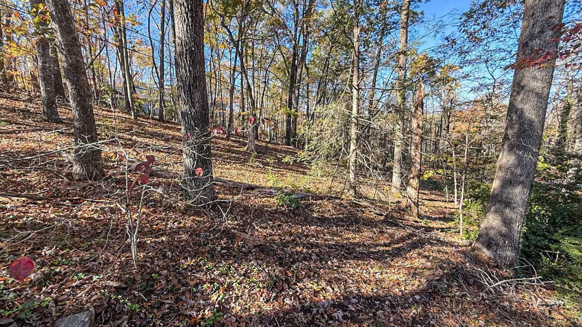522 Jervey Road, Landrum, South Carolina image 22