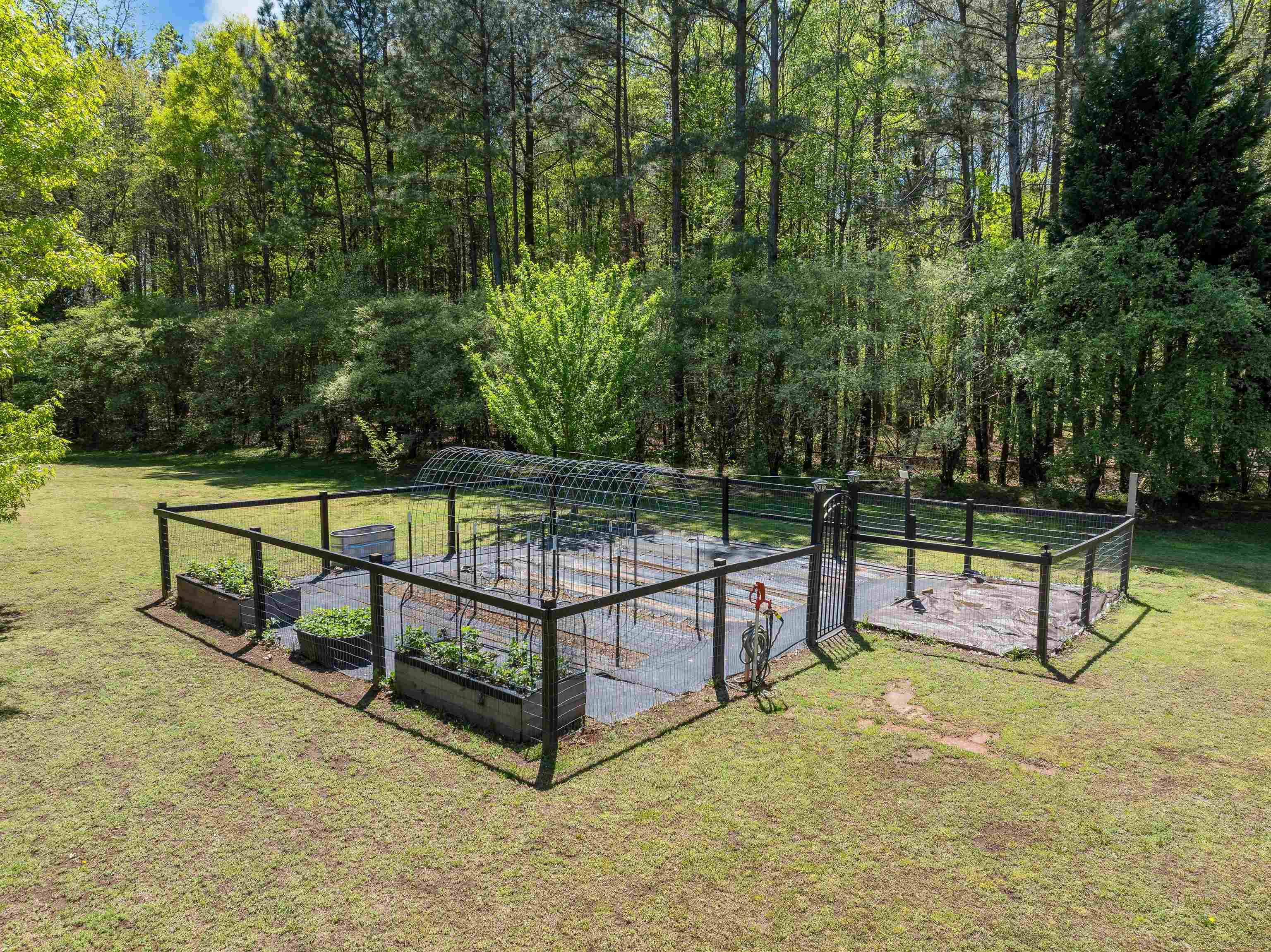 255 Cane Creek Way, Campobello, South Carolina image 47