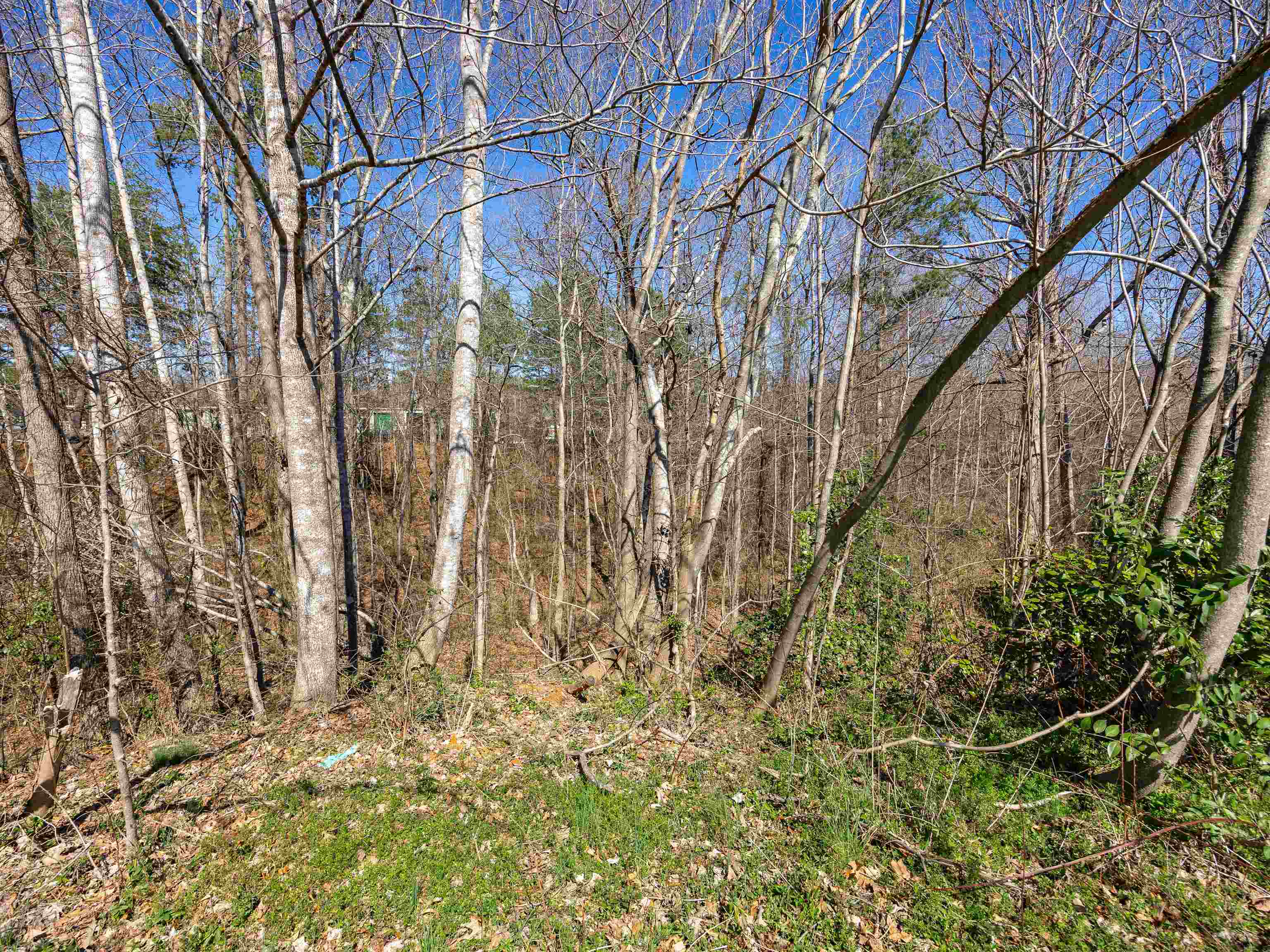 275 Upper Beaver Creek Drive, Moore, South Carolina image 4
