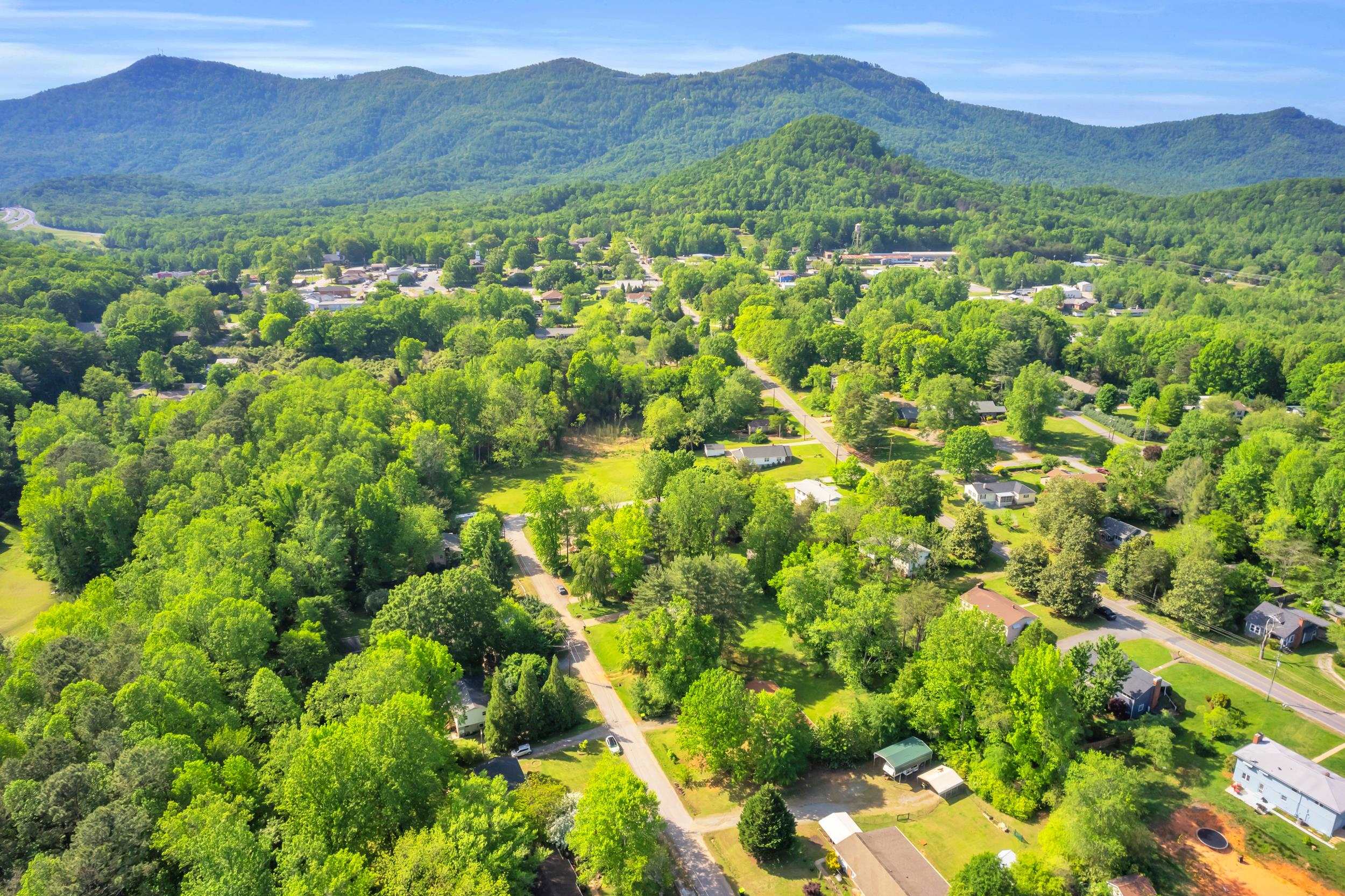 81 Julia Street, Columbus, North Carolina image 30