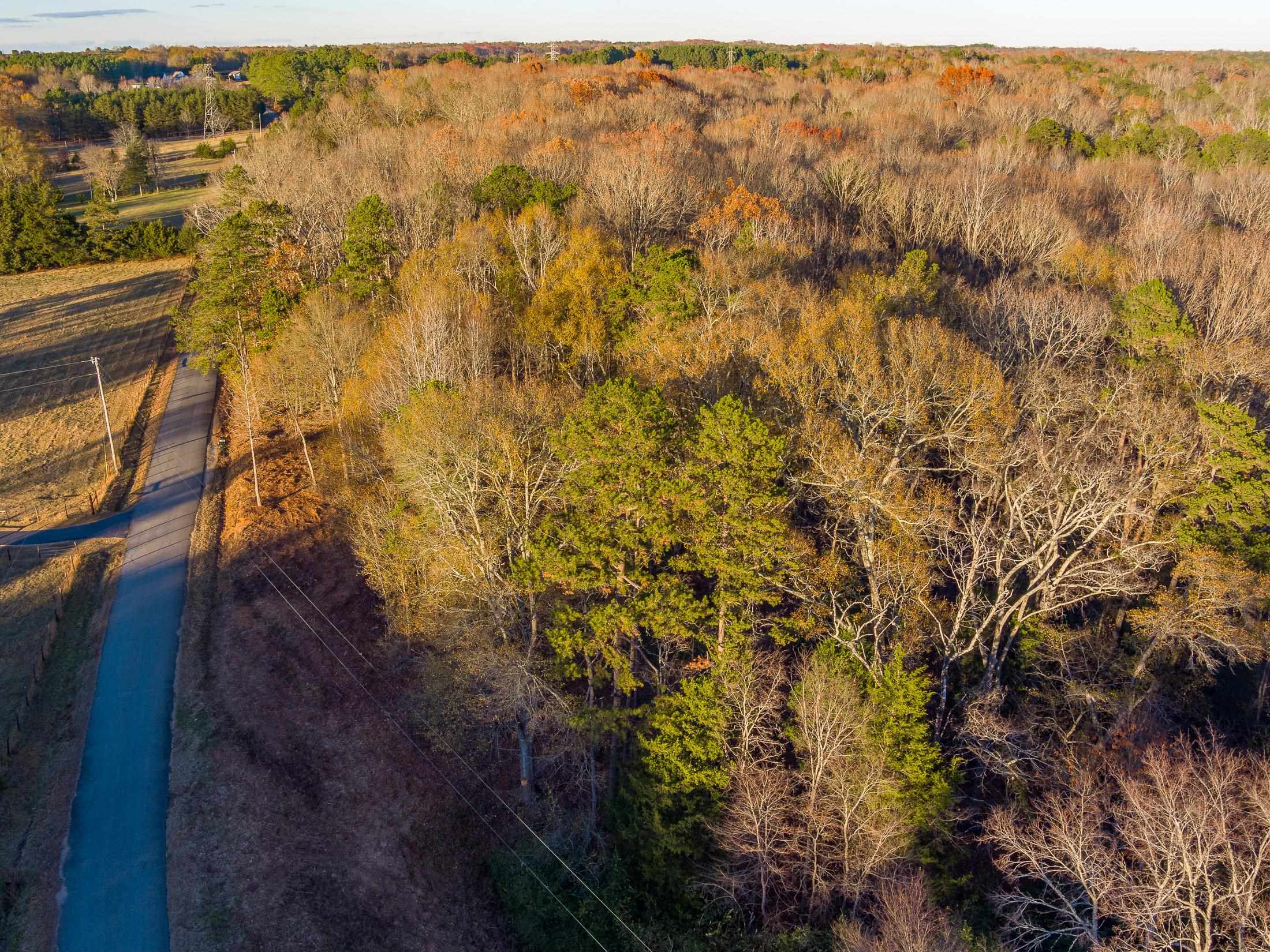 Marshall Tucker Rd, Pauline, South Carolina image 21
