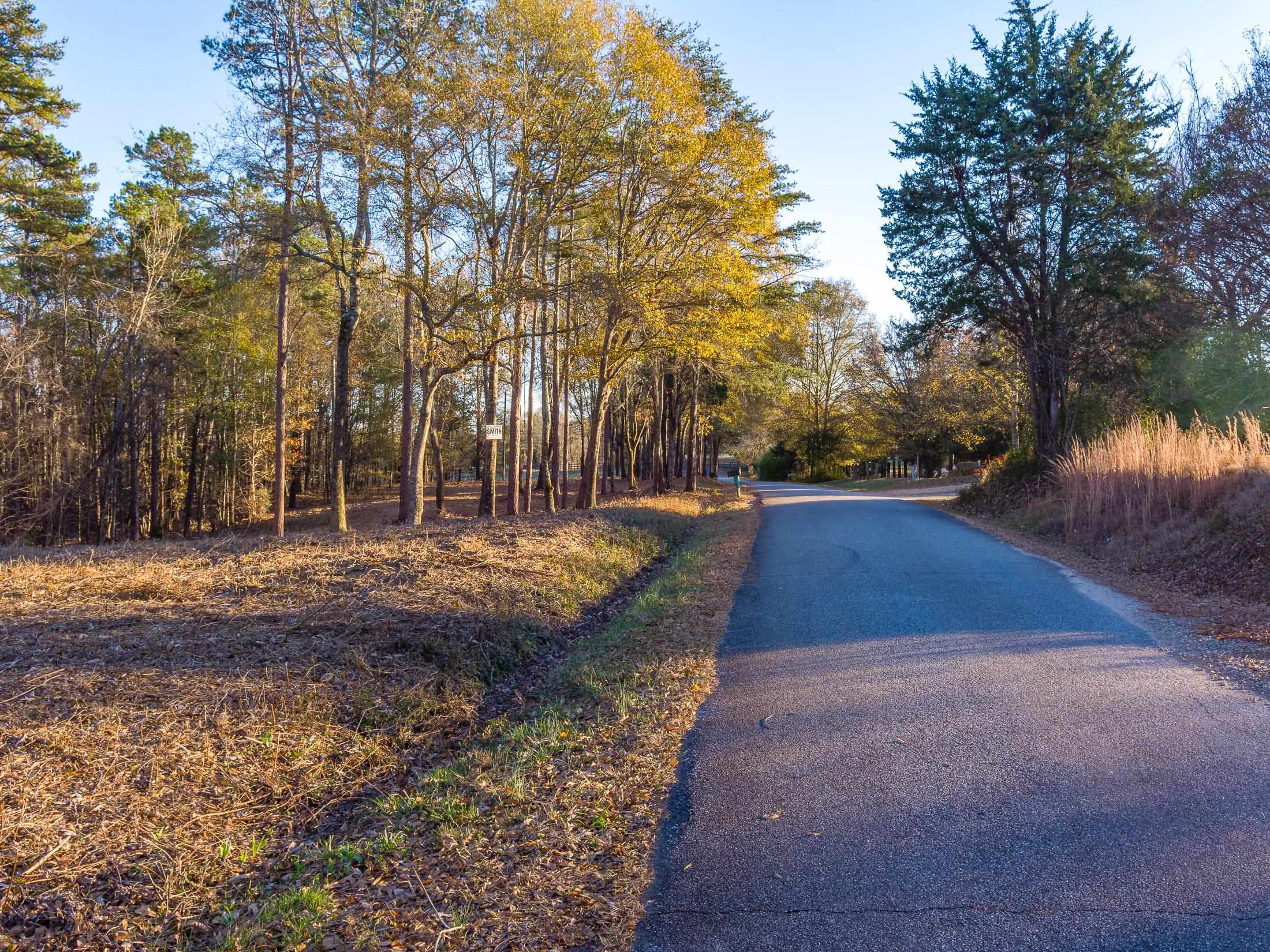 Marshall Tucker Rd, Pauline, South Carolina image 1