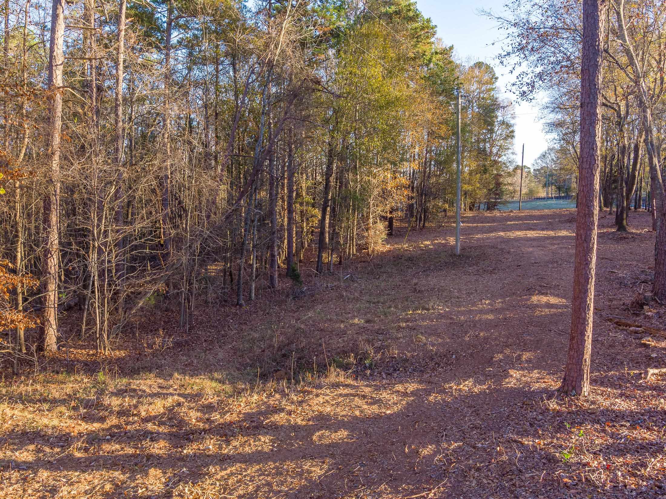 Marshall Tucker Rd, Pauline, South Carolina image 2