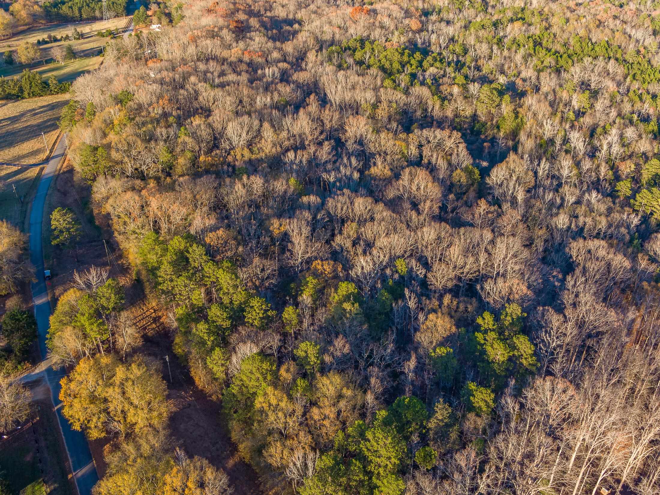 Marshall Tucker Rd, Pauline, South Carolina image 8