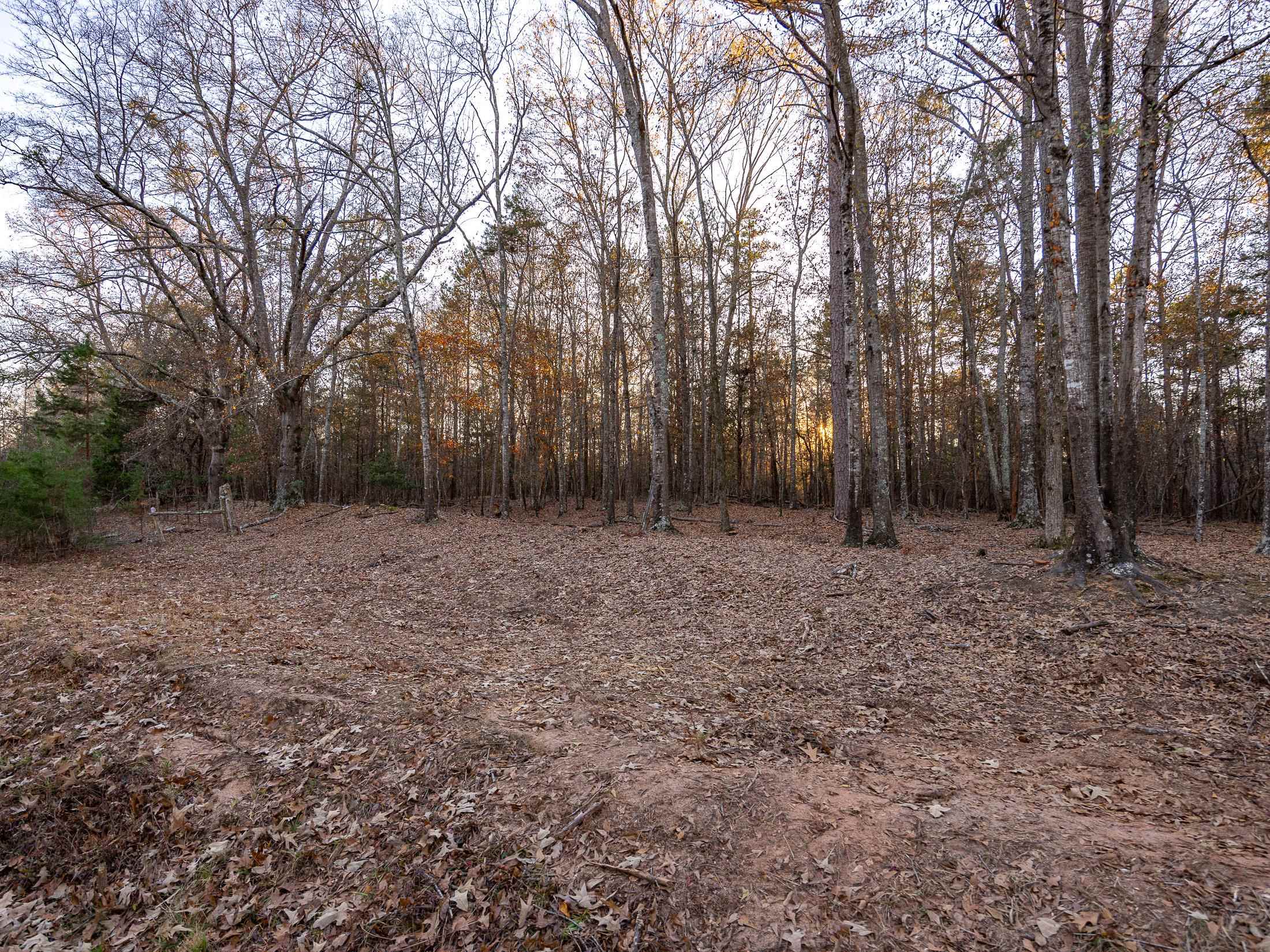 Marshall Tucker Rd, Pauline, South Carolina image 25