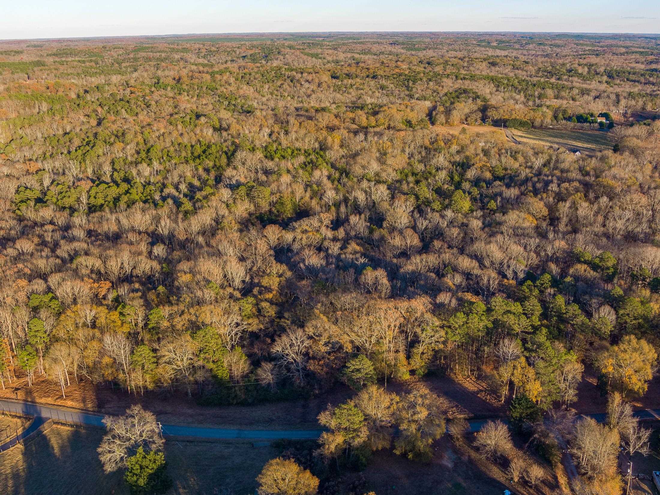 Marshall Tucker Rd, Pauline, South Carolina image 13
