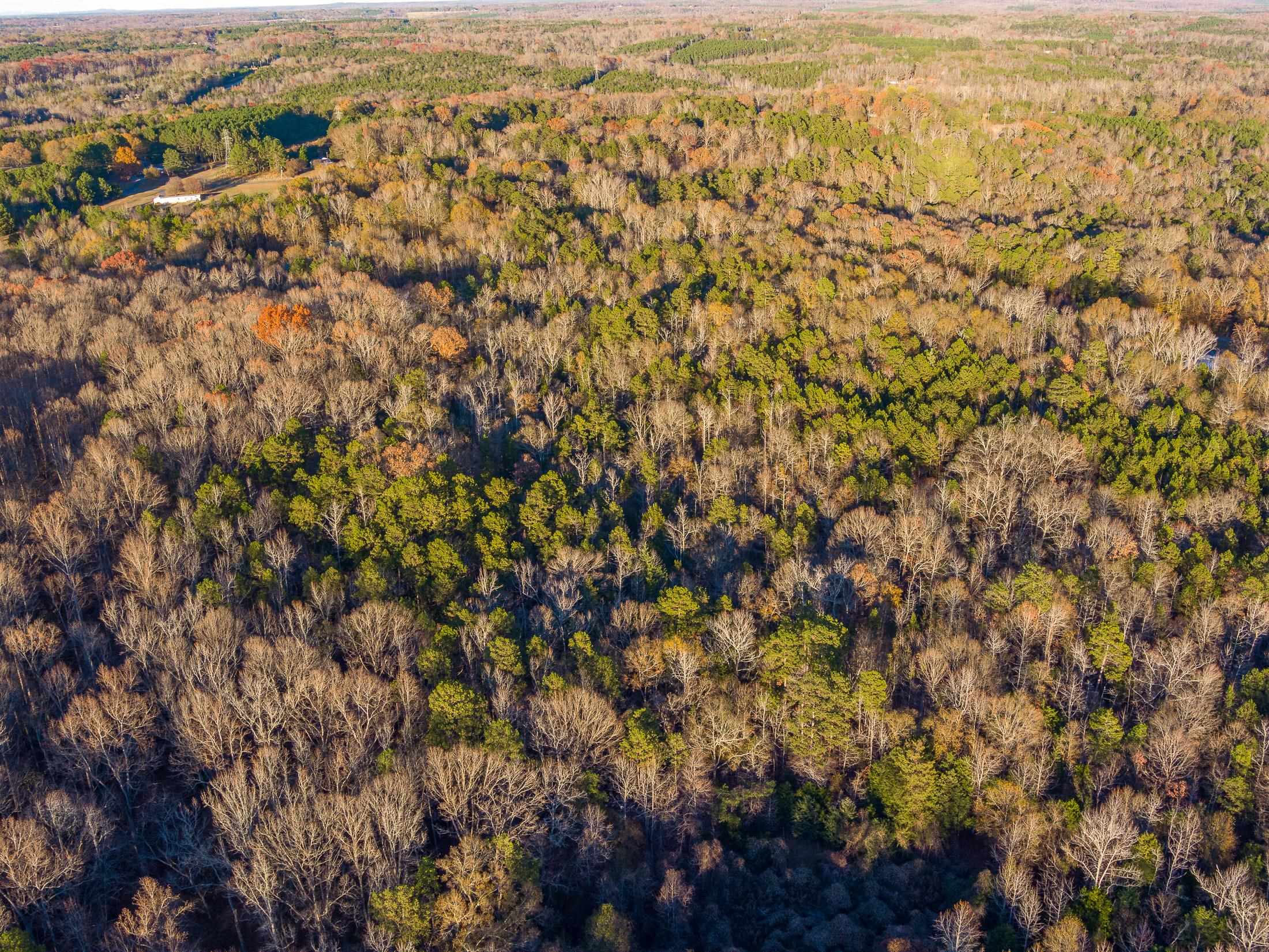 Marshall Tucker Rd, Pauline, South Carolina image 12