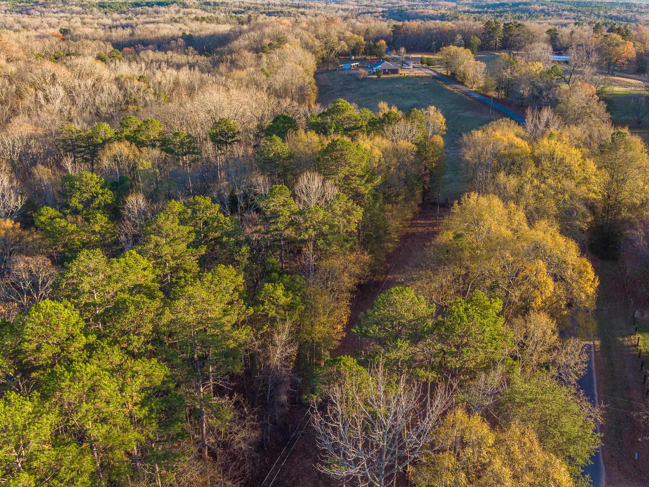 Marshall Tucker Rd, Pauline, South Carolina image 19
