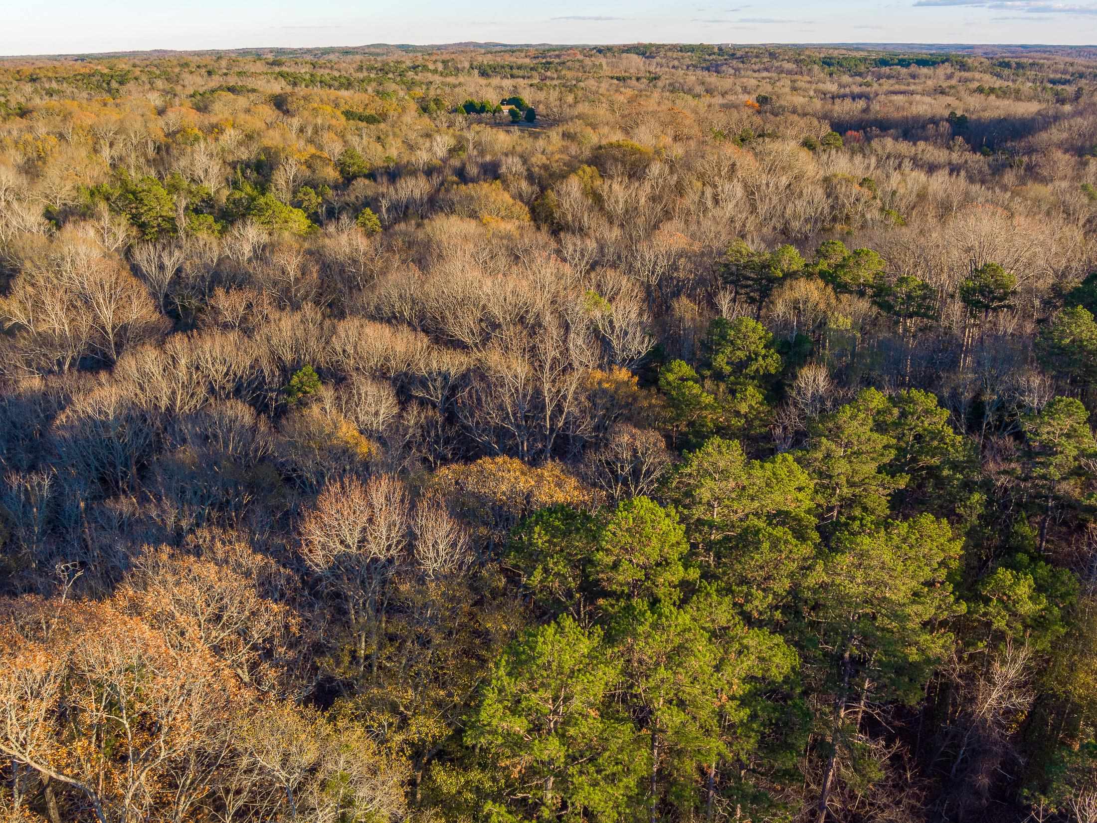 Marshall Tucker Rd, Pauline, South Carolina image 20