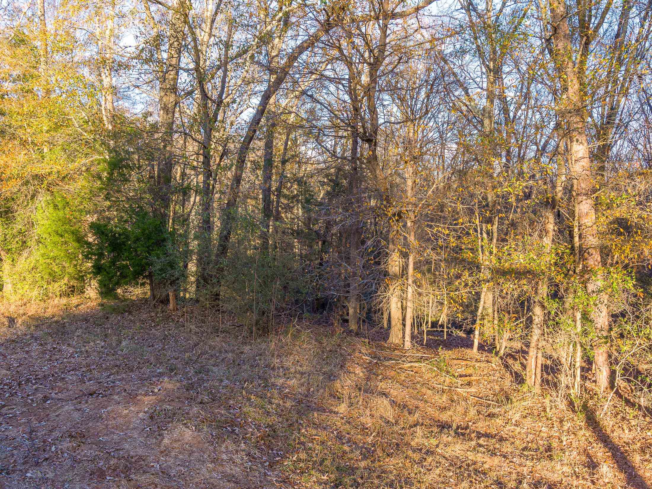 Marshall Tucker Rd, Pauline, South Carolina image 3