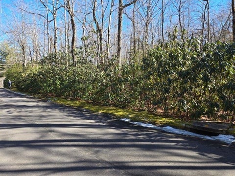 Vacant Land For Sale - 112 Hemlock Trail<br/> Greenville County, Cleveland, SC 29635