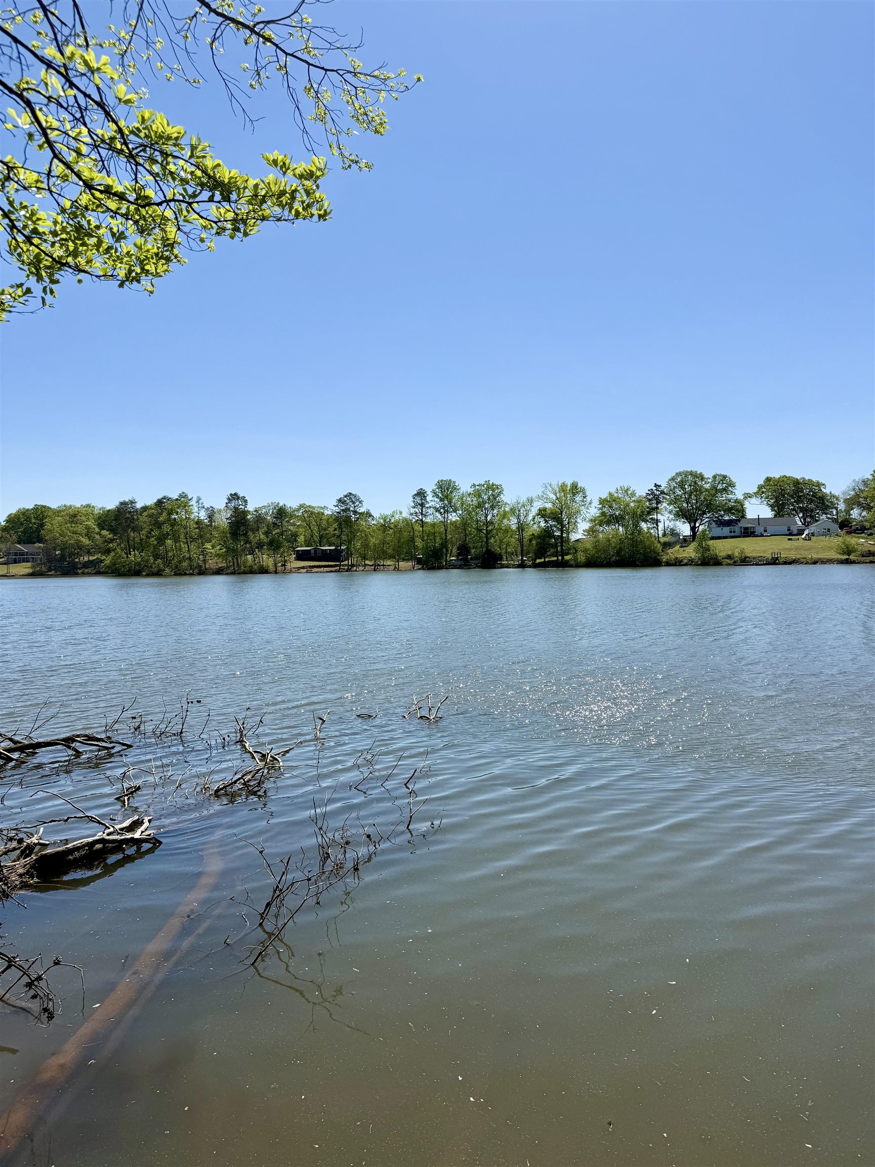 Belue Road, Greer, South Carolina image 14