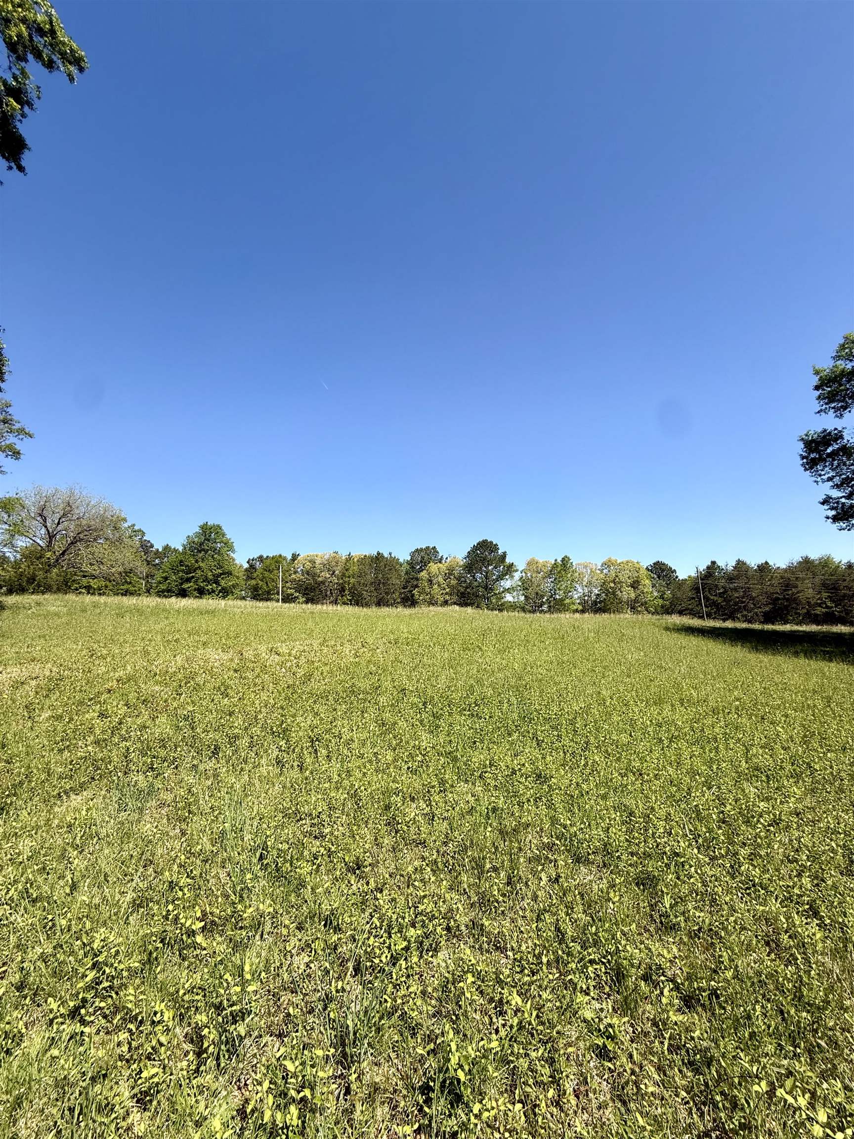 Belue Road, Greer, South Carolina image 9