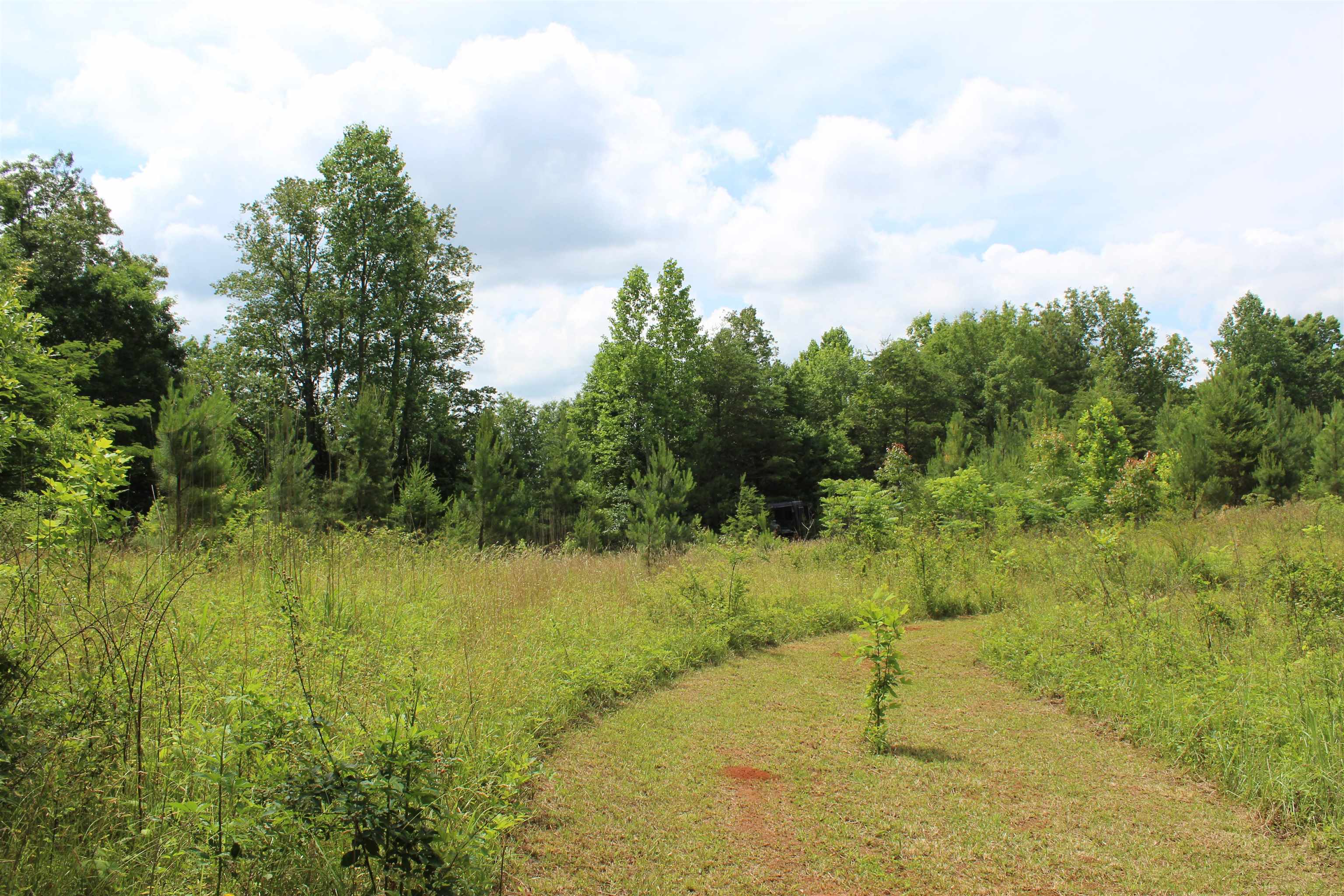 523 Mcdade Road, Tryon, North Carolina image 39