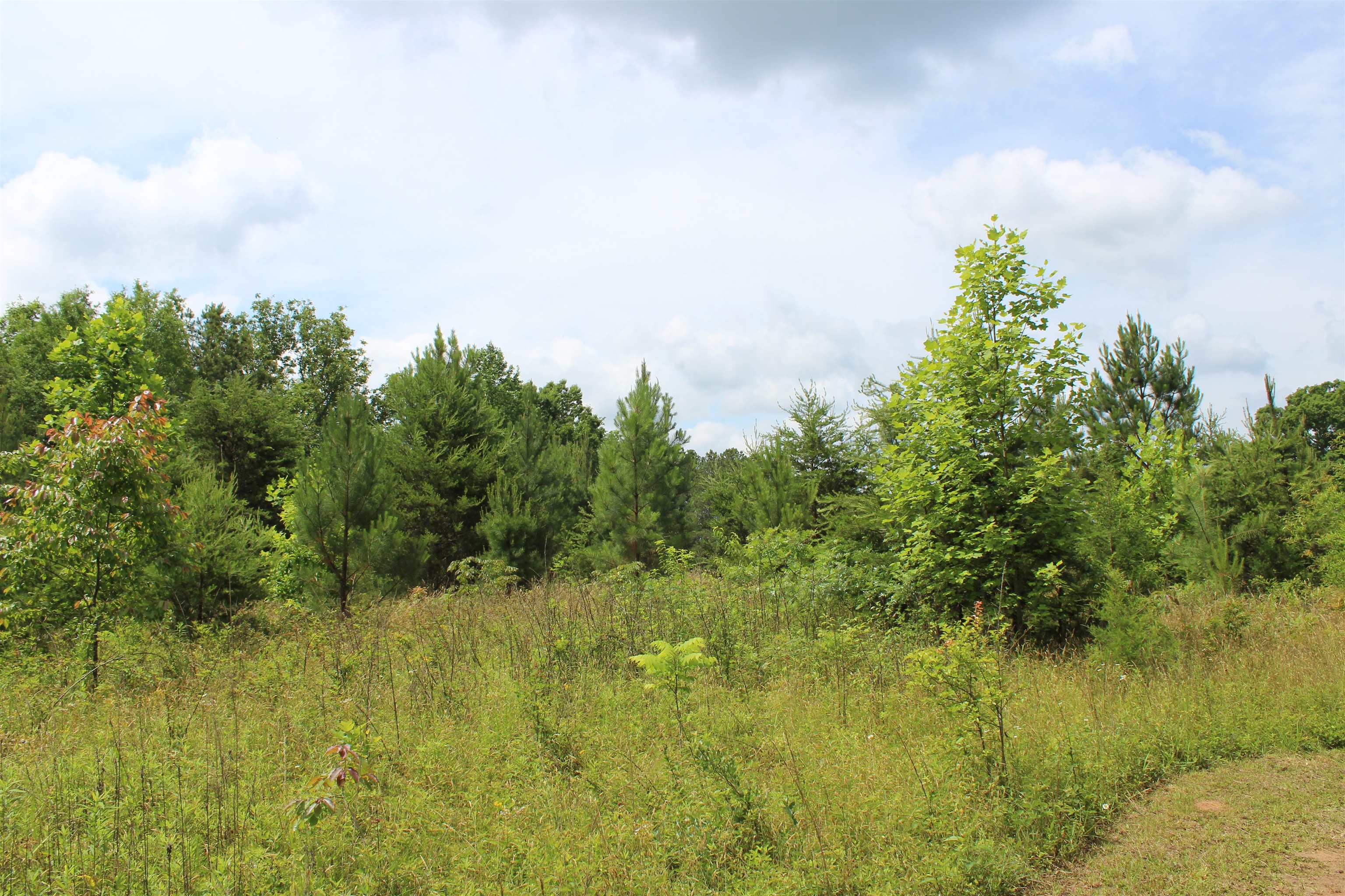 523 Mcdade Road, Tryon, North Carolina image 36