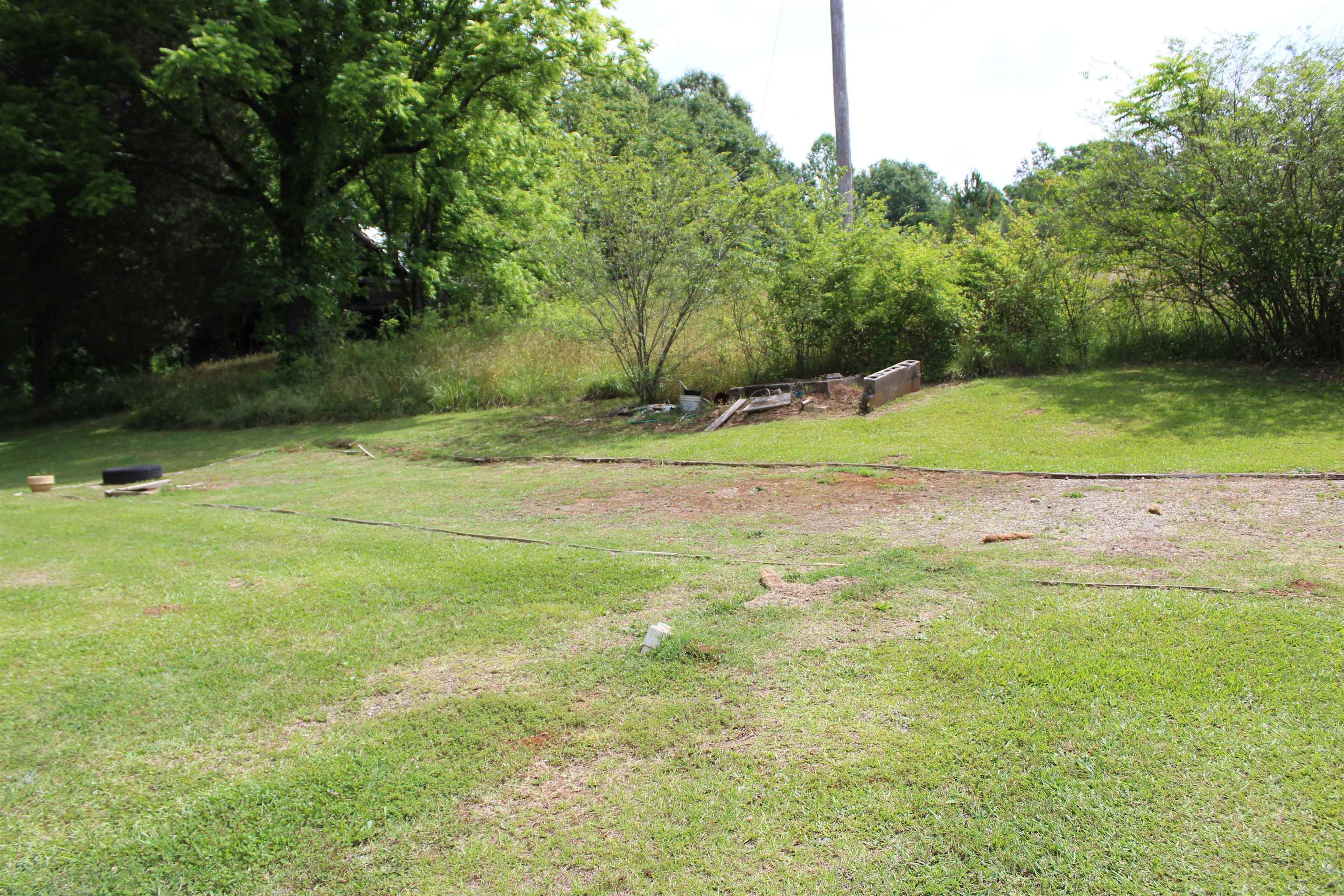 523 Mcdade Road, Tryon, North Carolina image 22