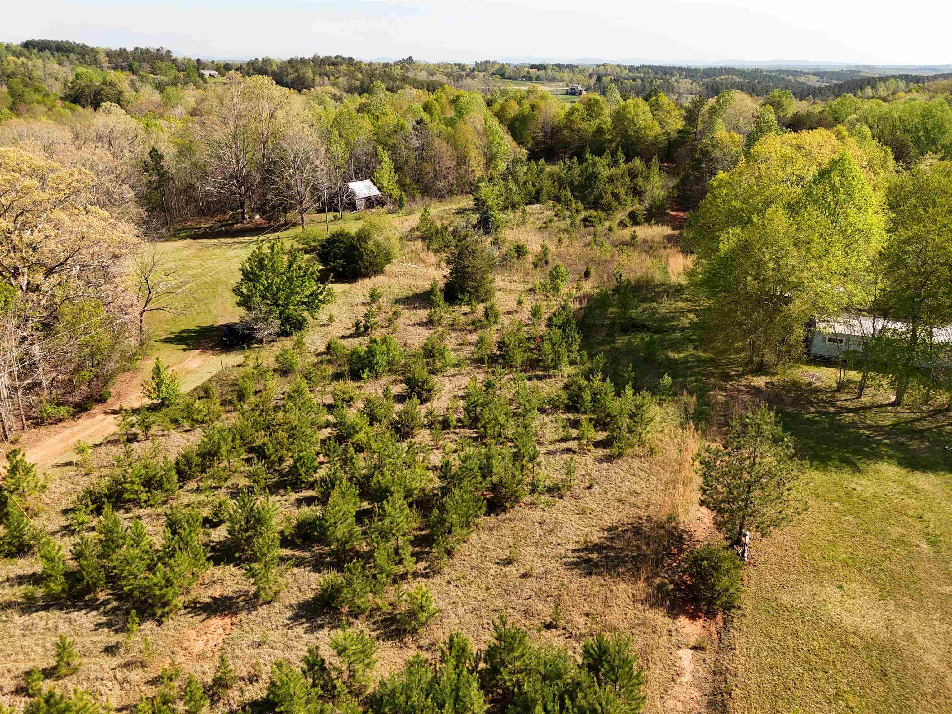 523 Mcdade Road, Tryon, North Carolina image 42
