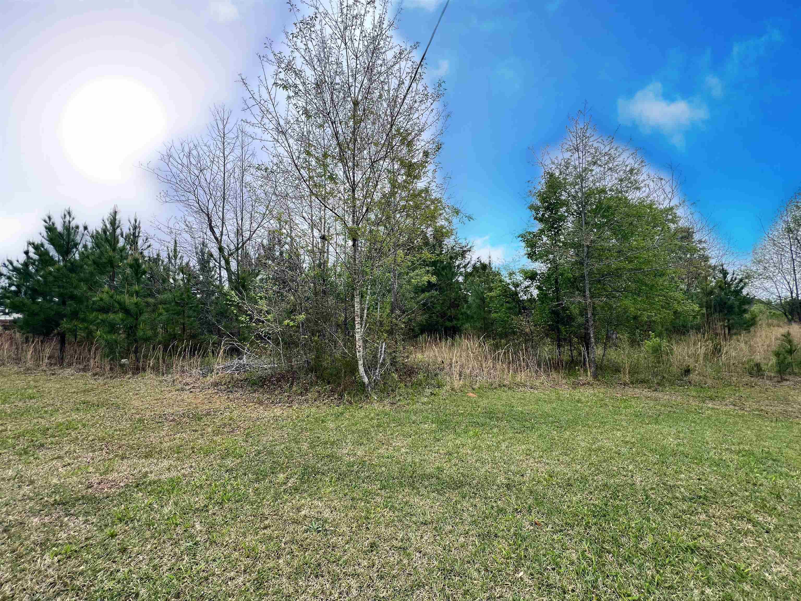 275 Palmetto Drive, Inman, South Carolina image 8