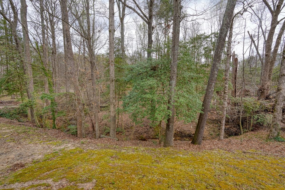 5221 Pogue Street, Spartanburg, South Carolina image 30