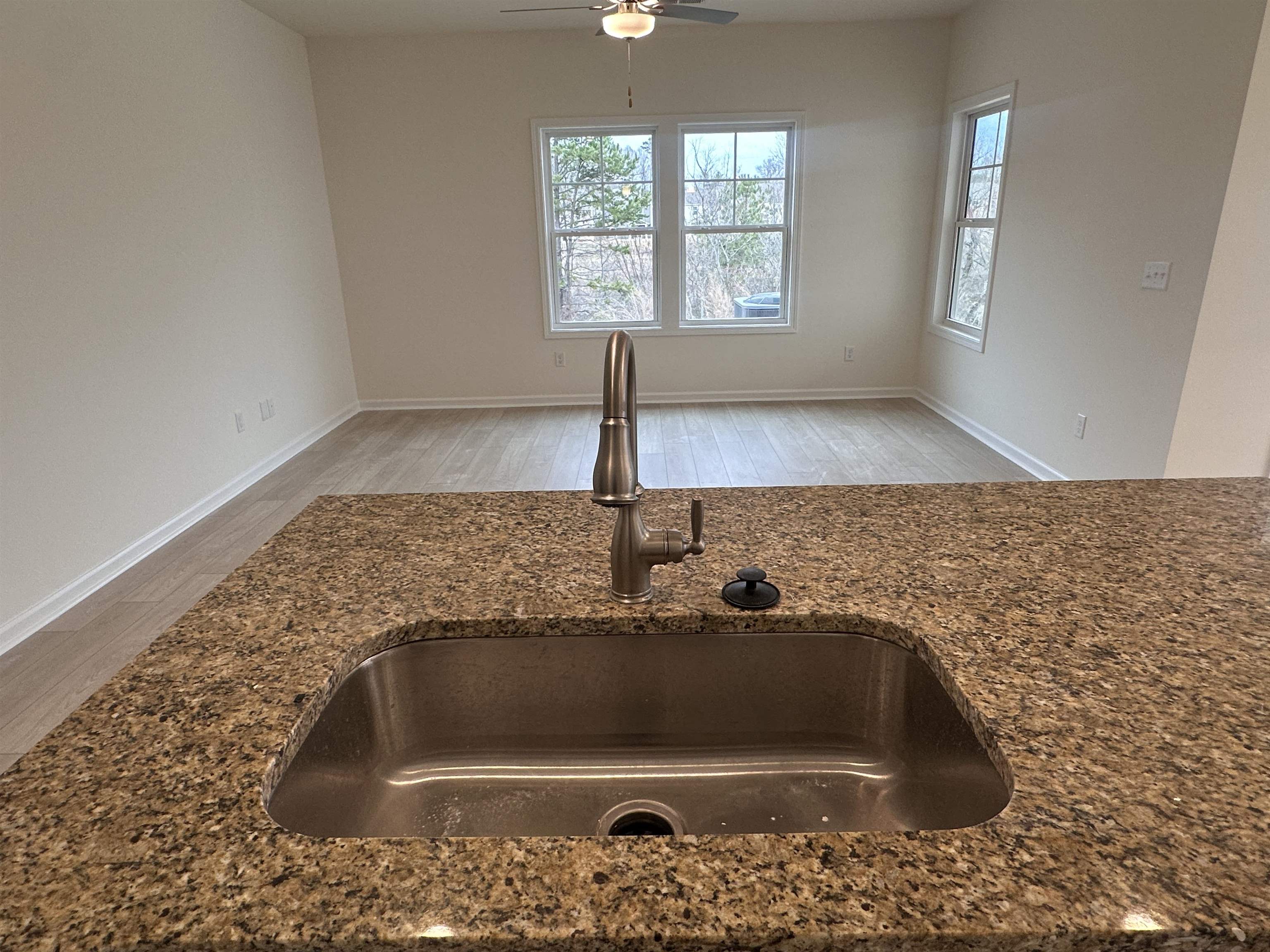 3080 Olivette Place, Duncan, South Carolina image 8