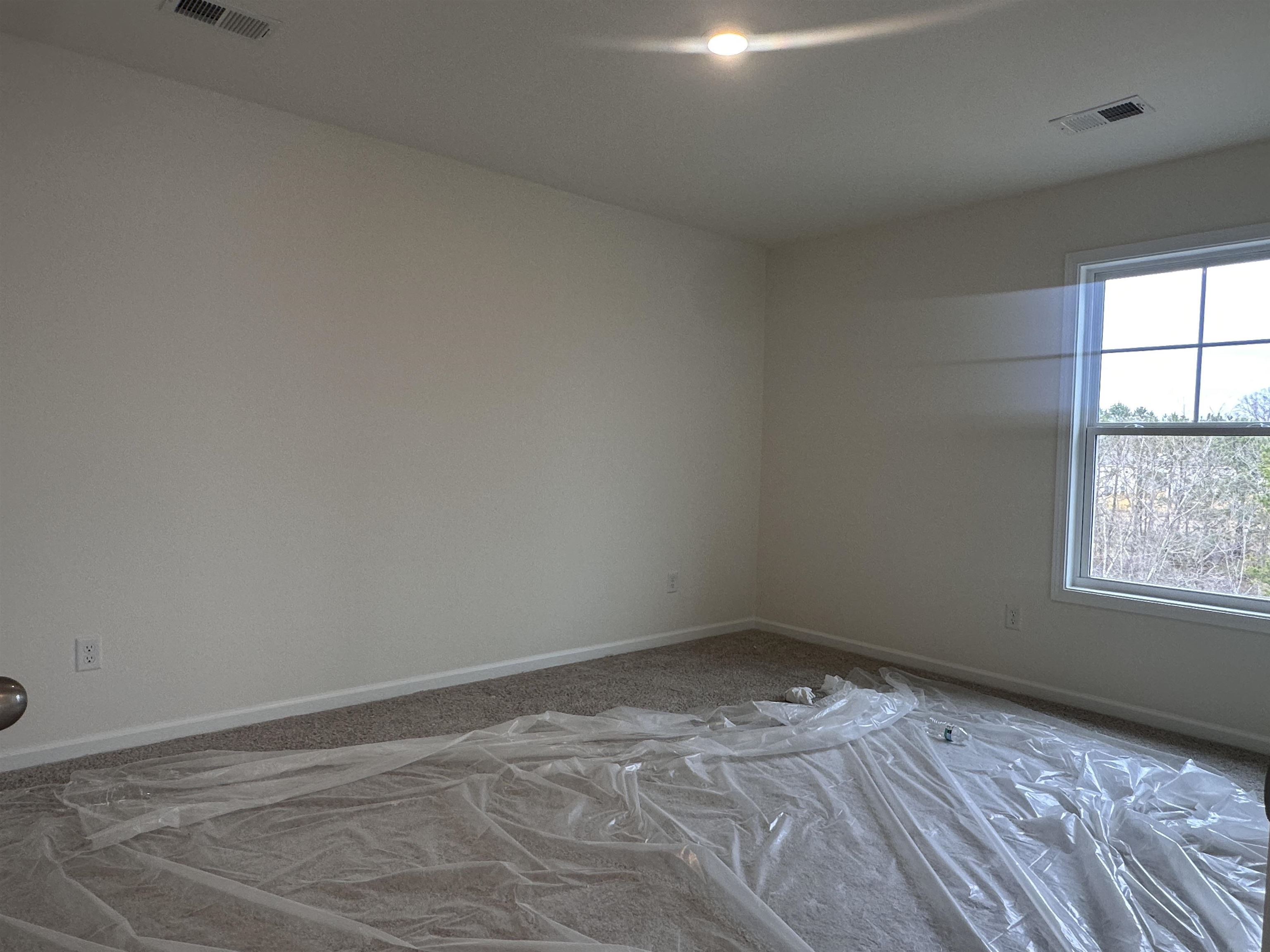 3080 Olivette Place, Duncan, South Carolina image 10