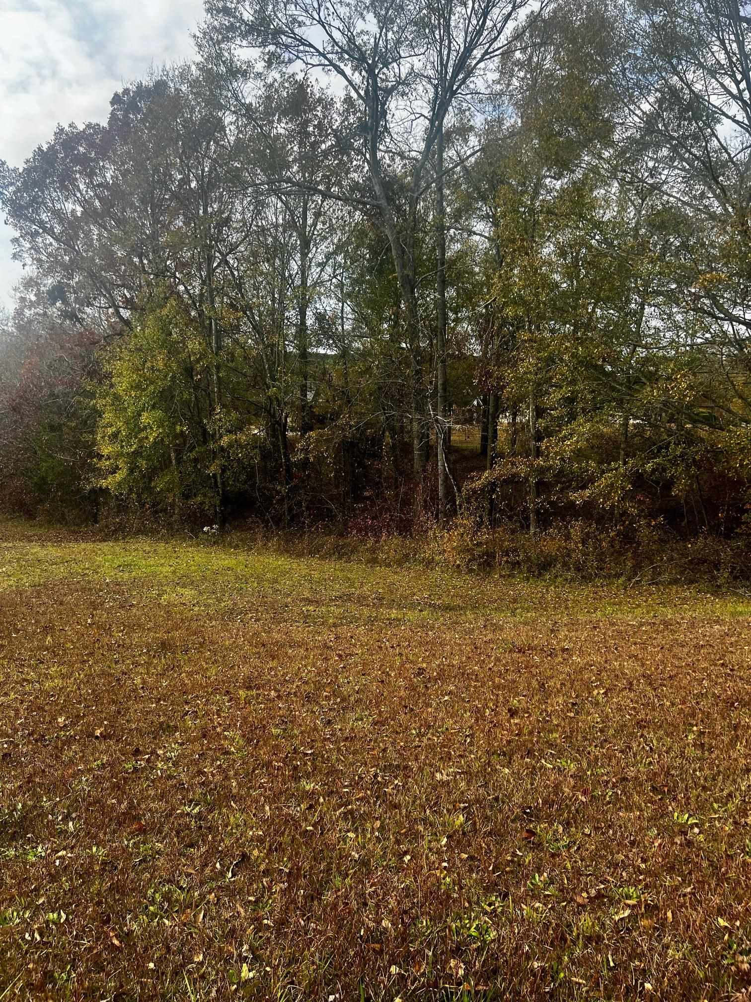 314 Shoreview Drive, Chesnee, South Carolina image 2