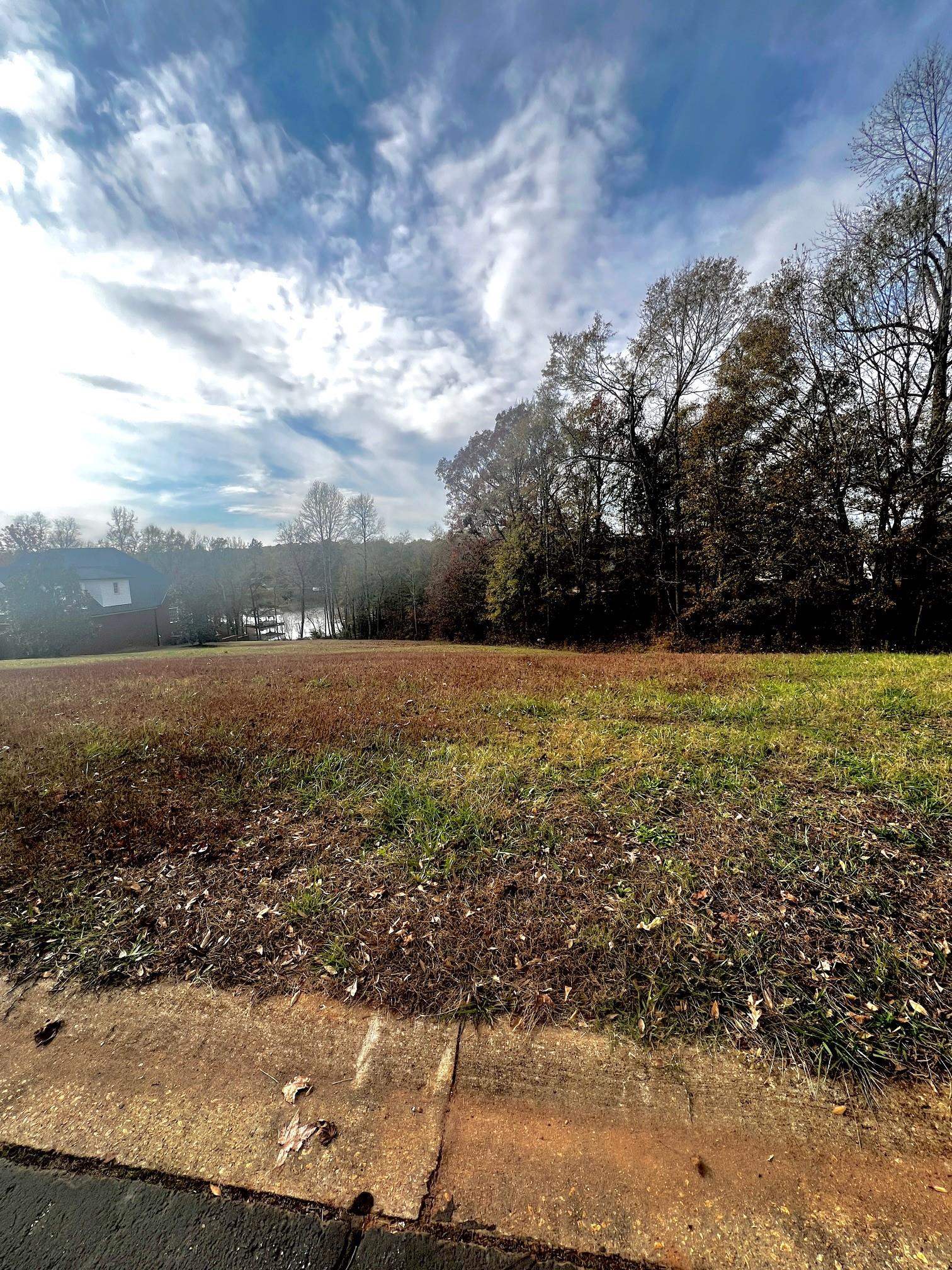 314 Shoreview Drive, Chesnee, South Carolina image 3