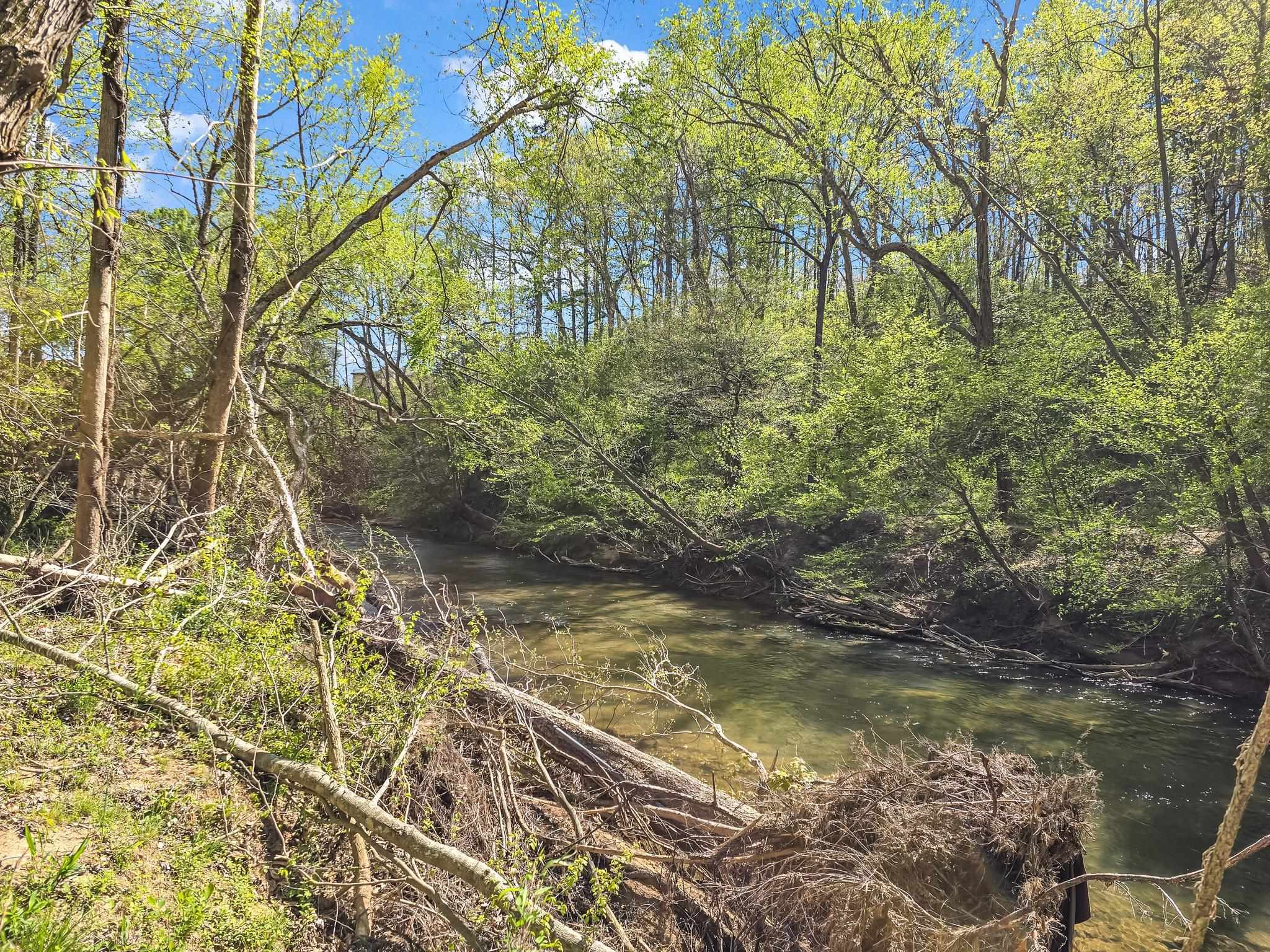 147 Cove Hollow, Rutherfordton, North Carolina image 45