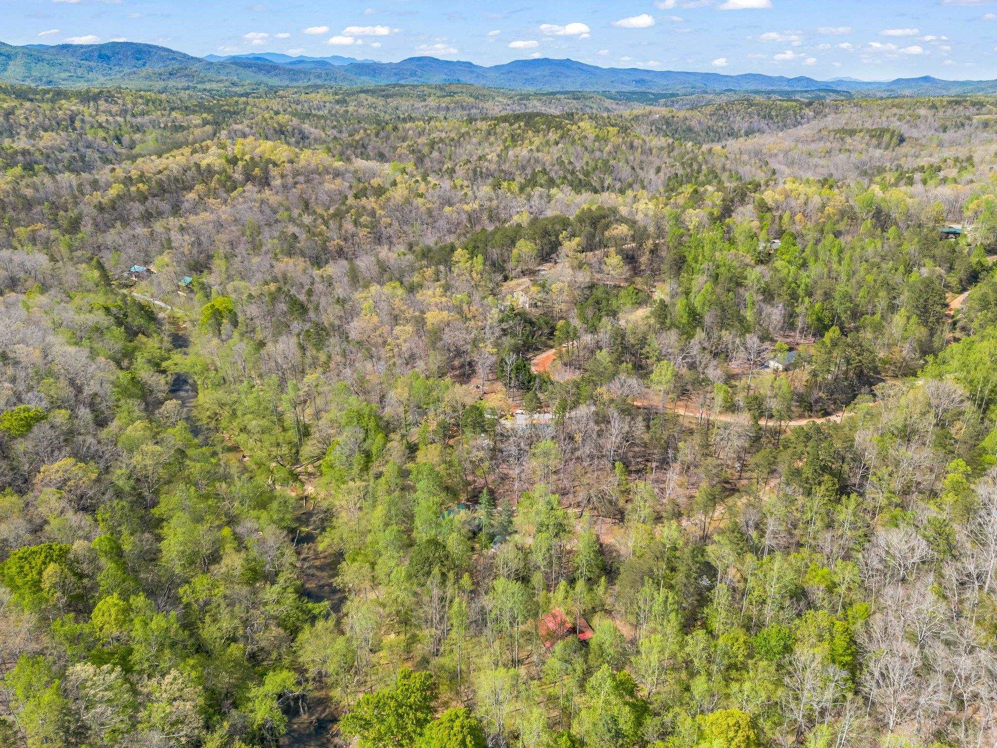 147 Cove Hollow, Rutherfordton, North Carolina image 39