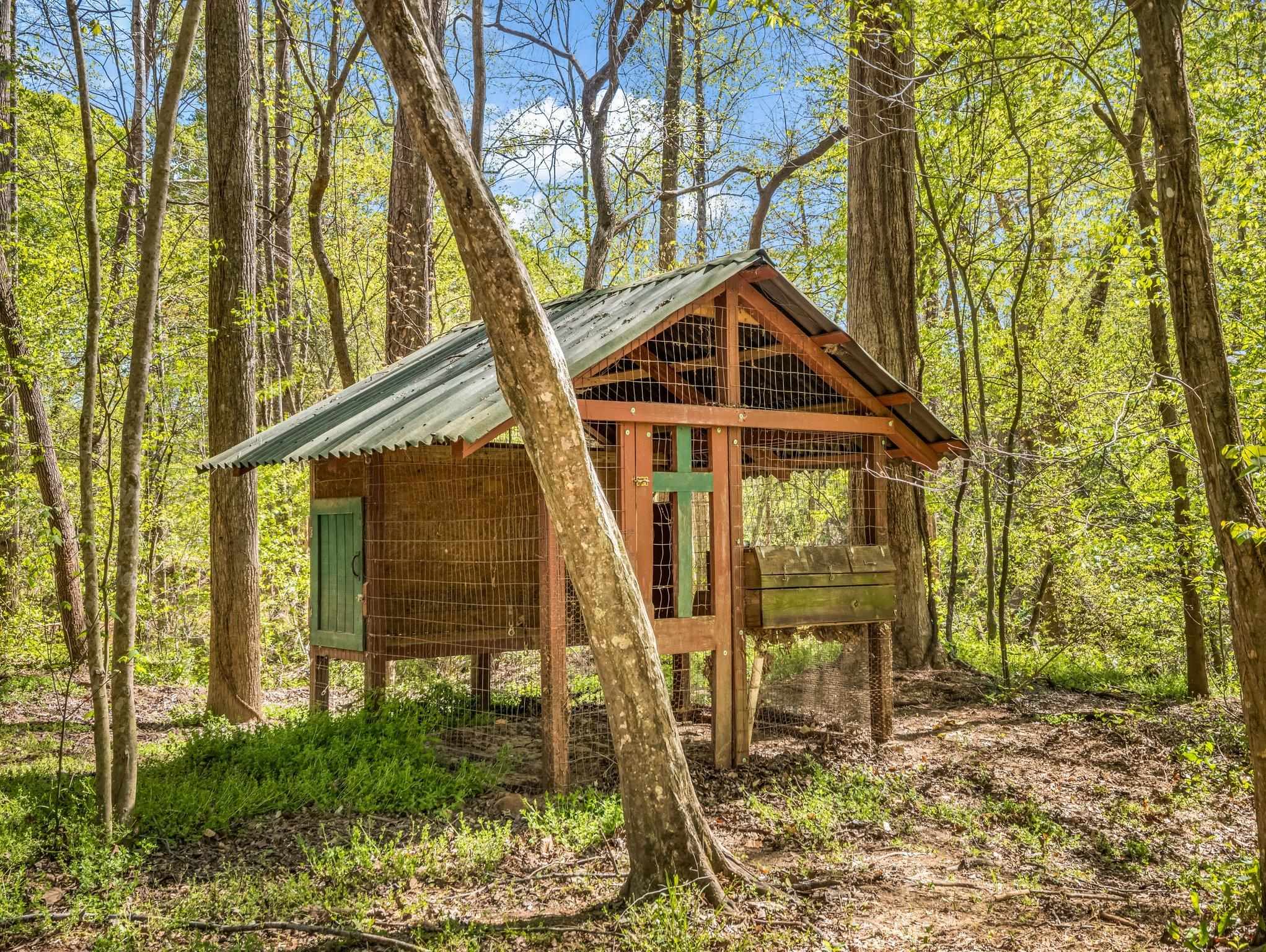 147 Cove Hollow, Rutherfordton, North Carolina image 8