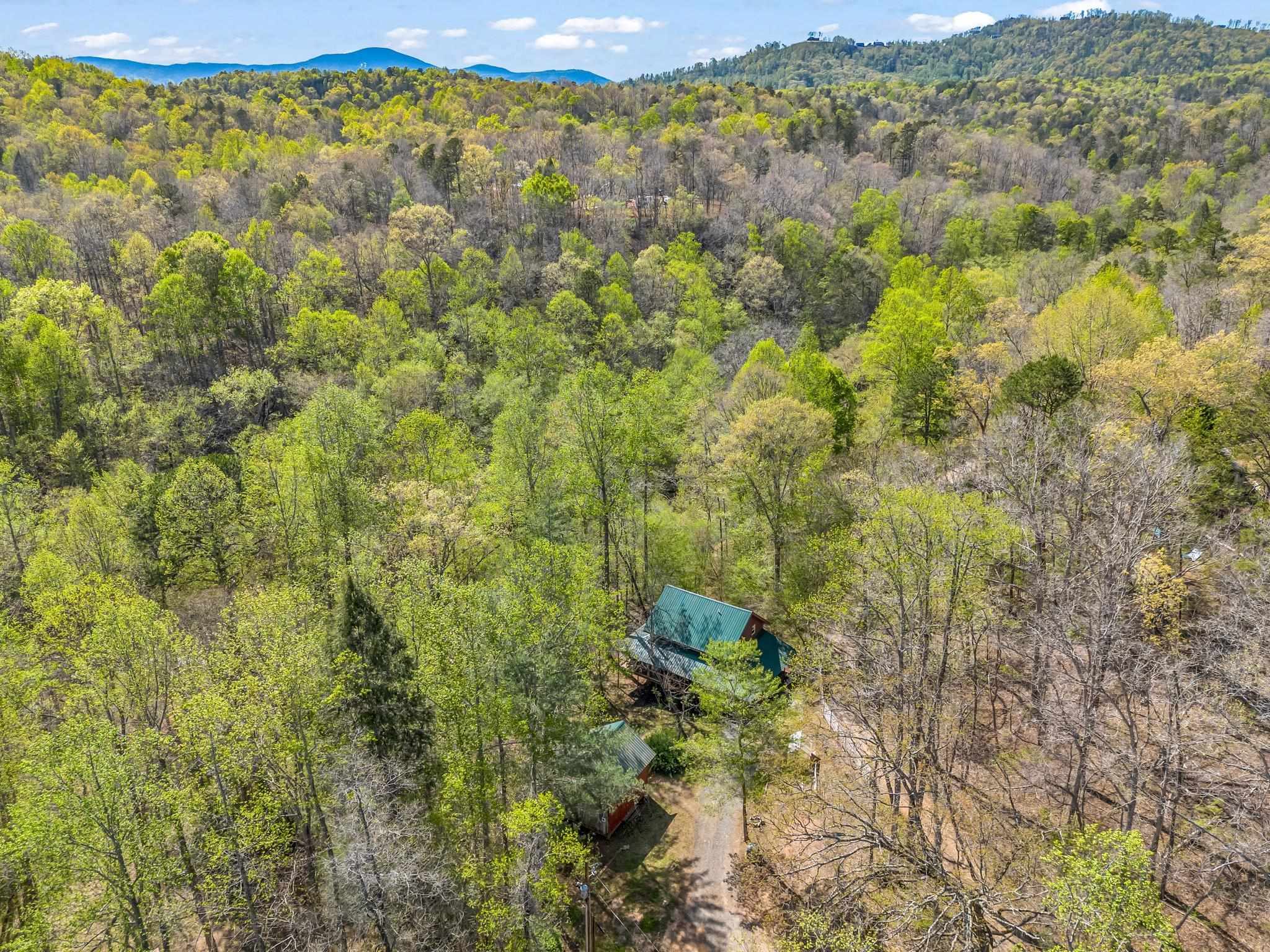 147 Cove Hollow, Rutherfordton, North Carolina image 42