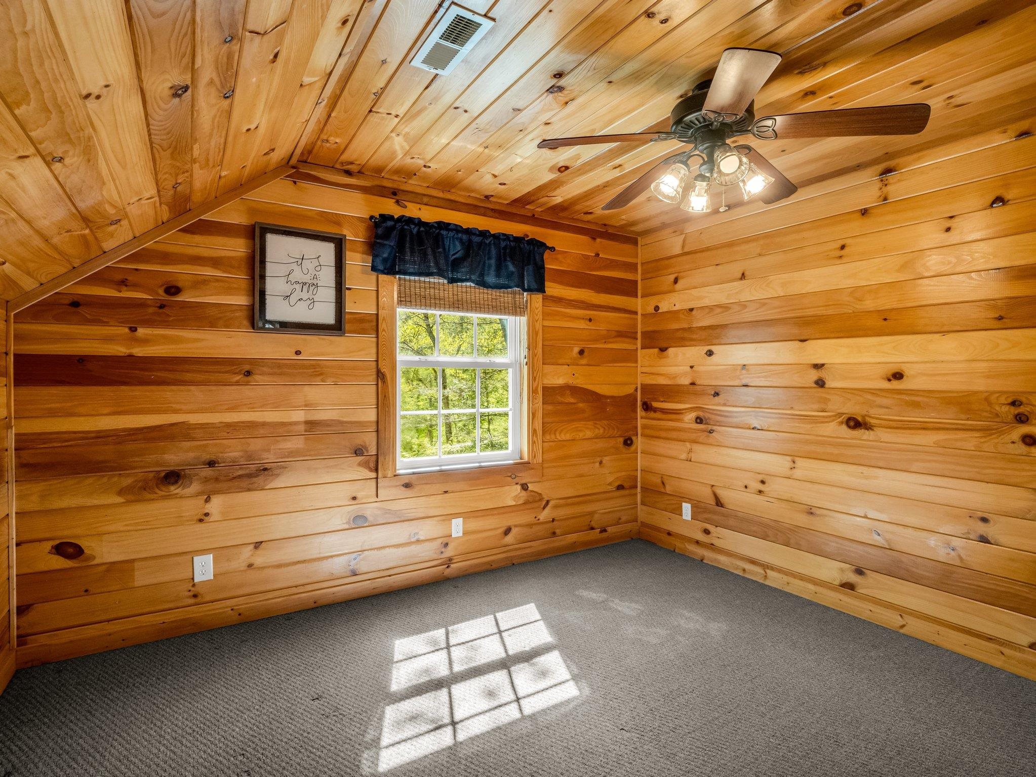147 Cove Hollow, Rutherfordton, North Carolina image 35