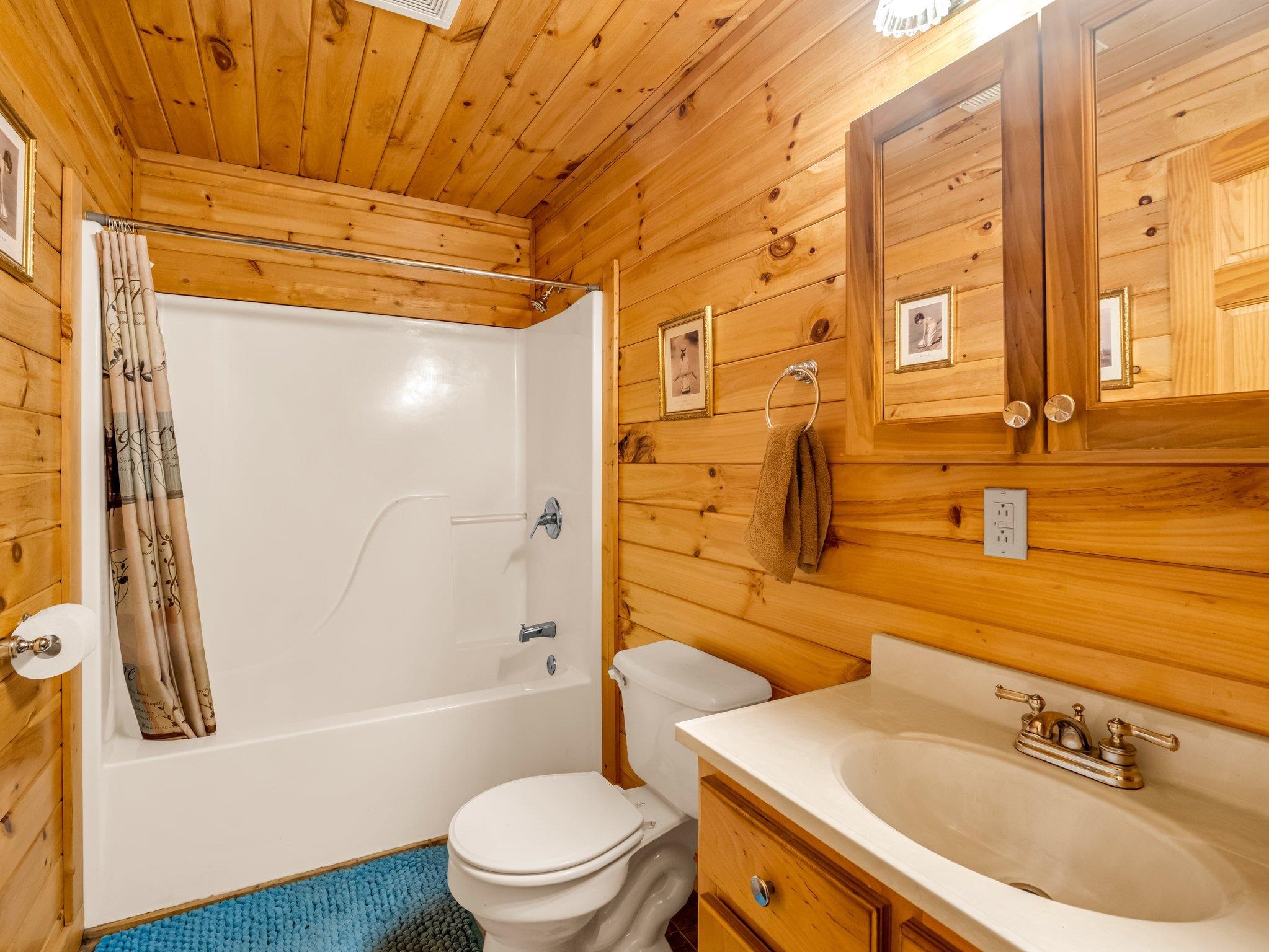 147 Cove Hollow, Rutherfordton, North Carolina image 34