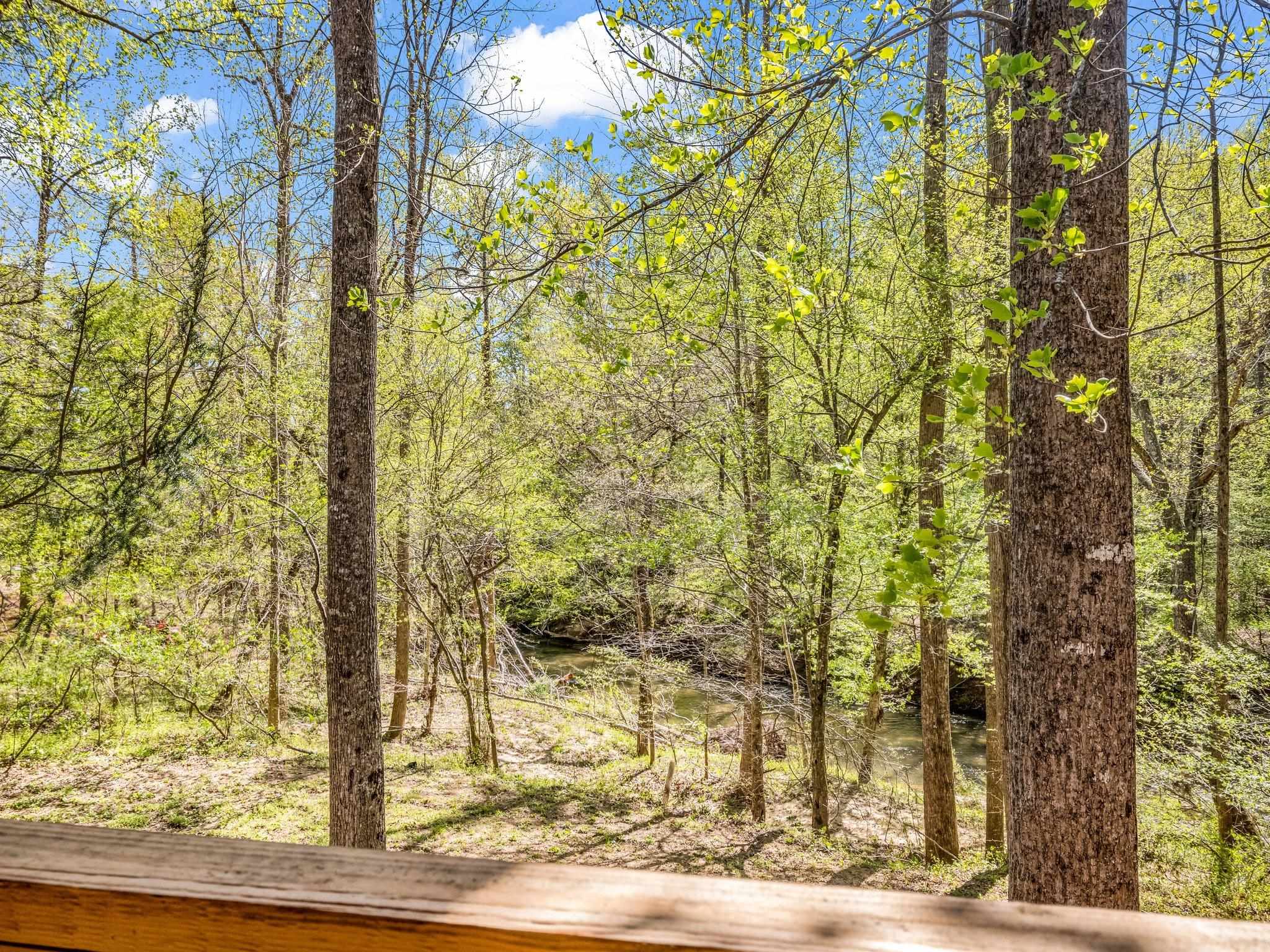 147 Cove Hollow, Rutherfordton, North Carolina image 18