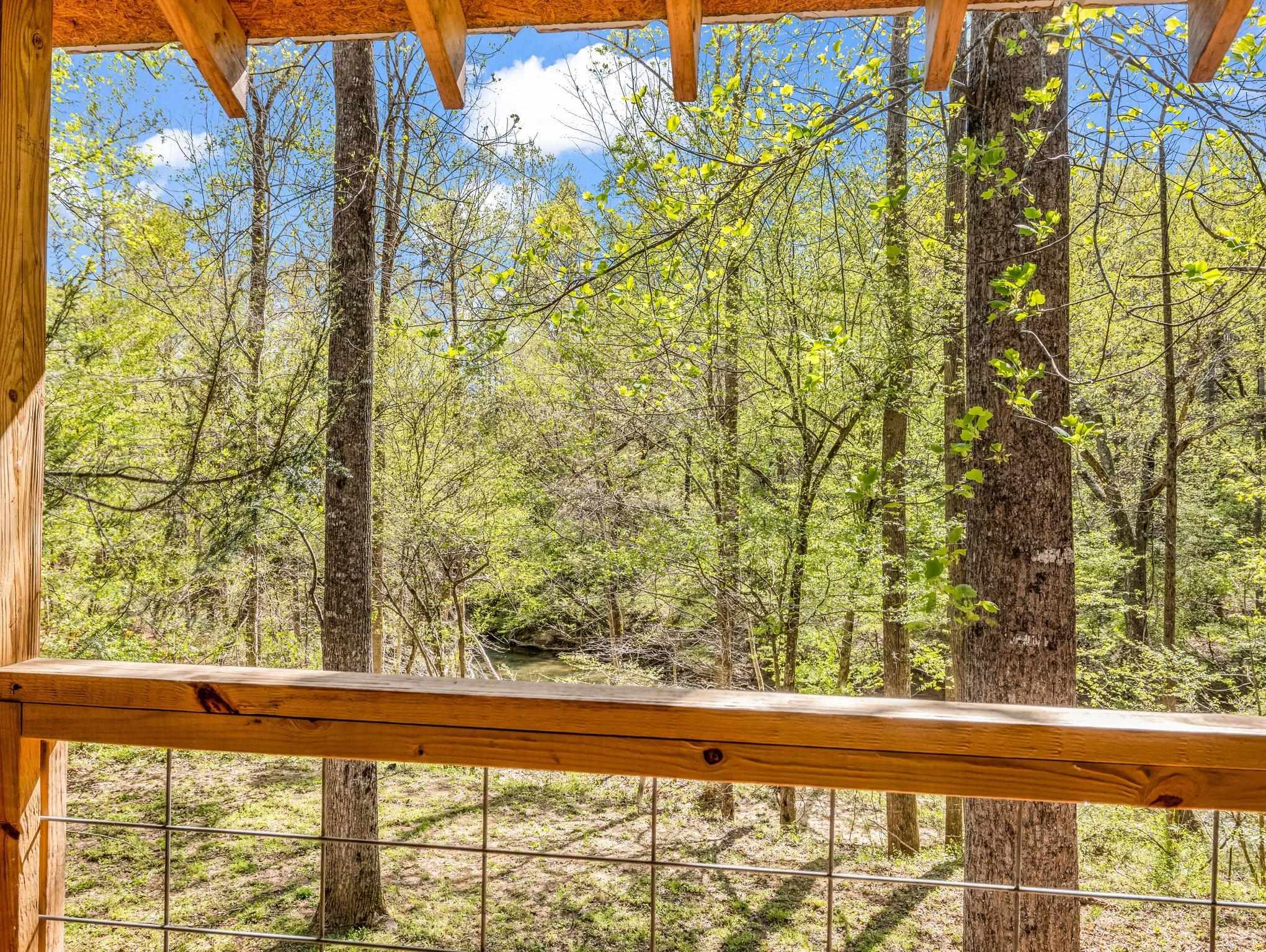 147 Cove Hollow, Rutherfordton, North Carolina image 17