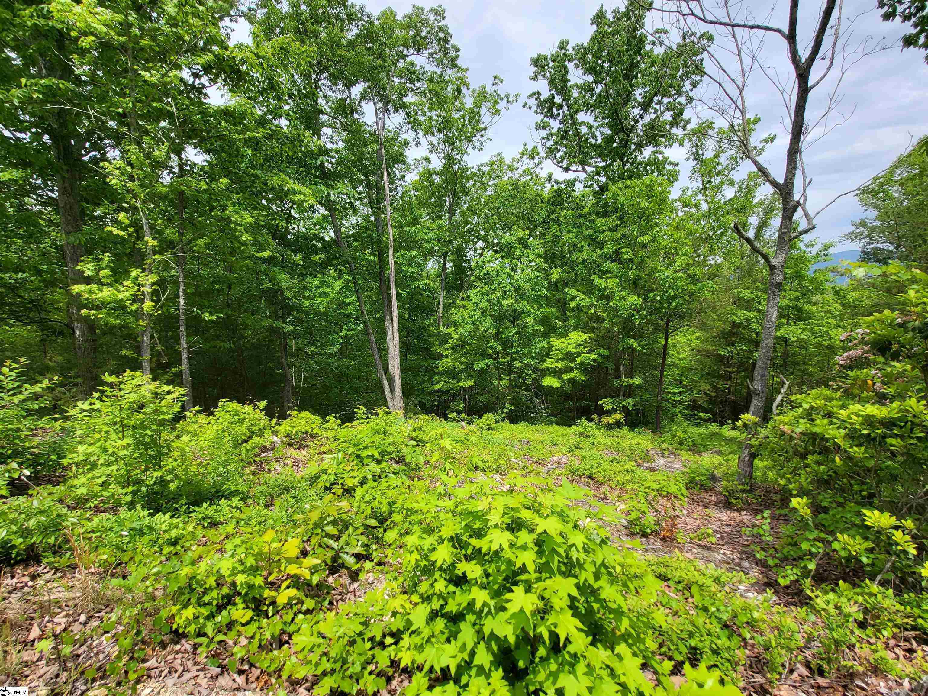 1130 Packs Mountain Ridge Road, Taylors, South Carolina image 11