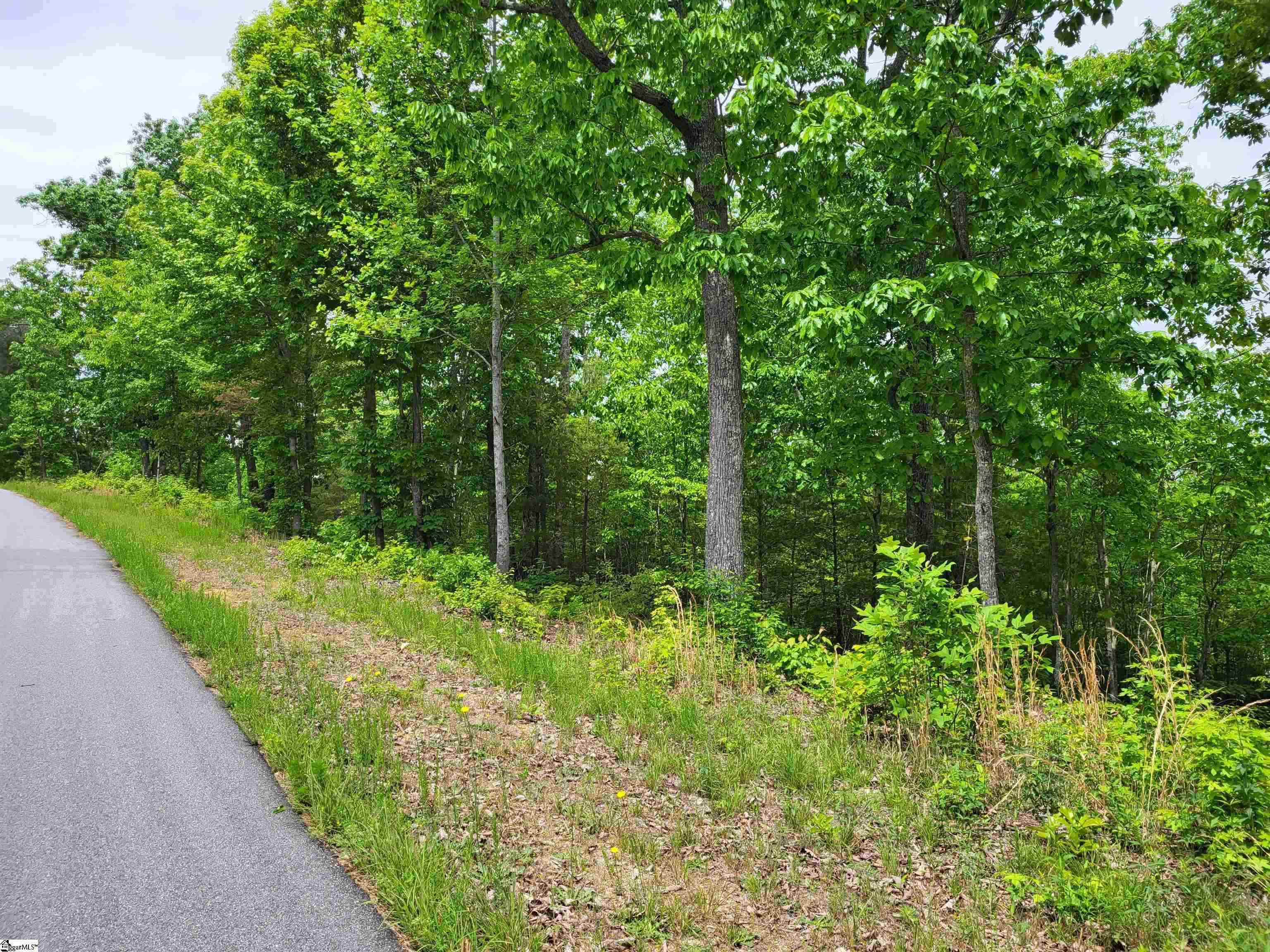 1130 Packs Mountain Ridge Road, Taylors, South Carolina image 17