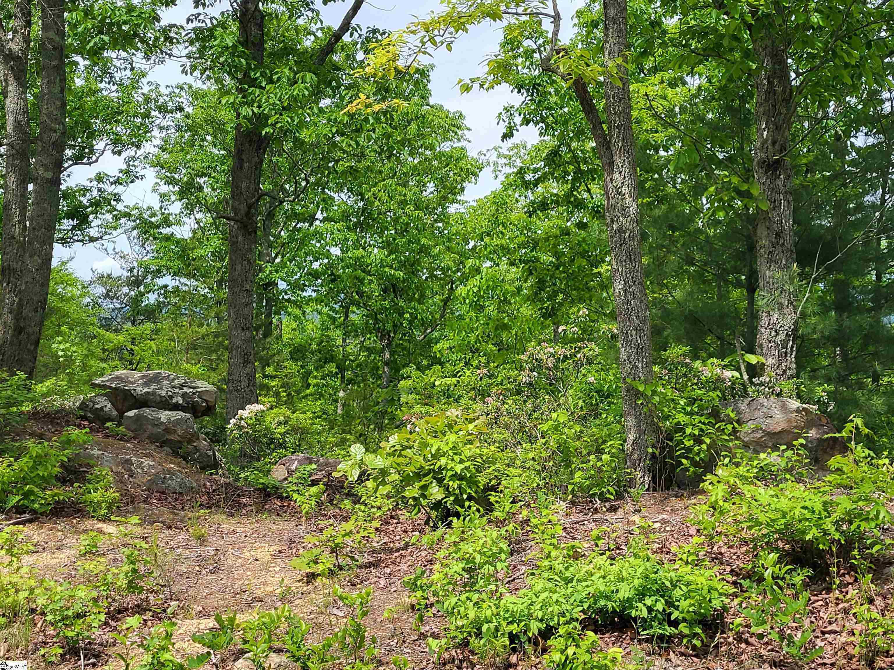 1130 Packs Mountain Ridge Road, Taylors, South Carolina image 9